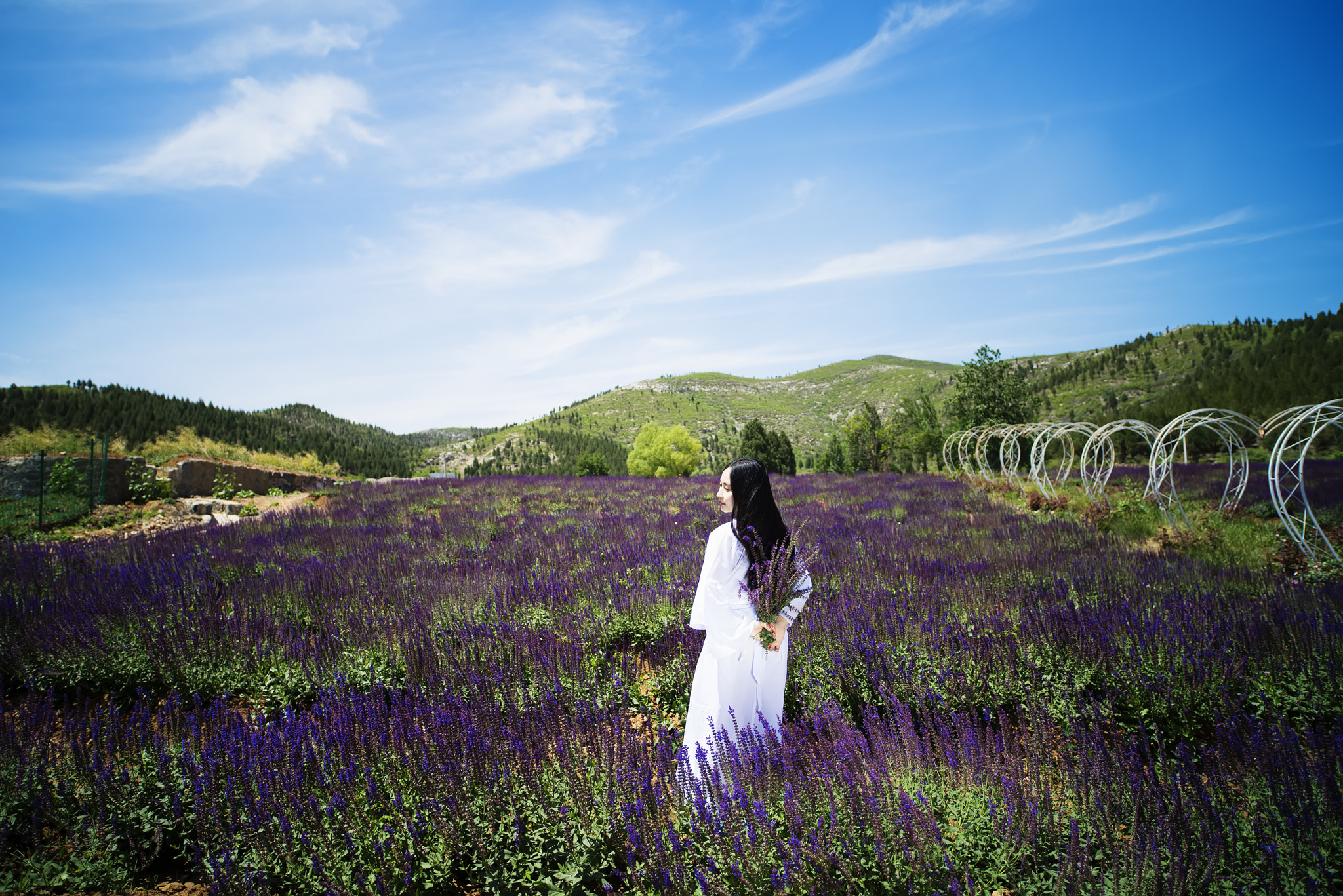 Sony a7R sample photo