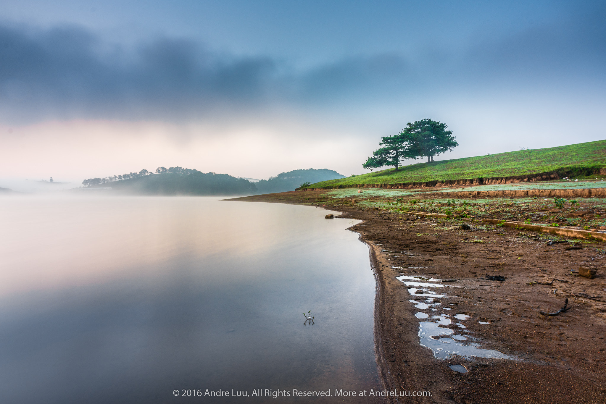 Sony a7R II + Sigma 20mm F1.4 DG HSM Art sample photo. Thriving together photography