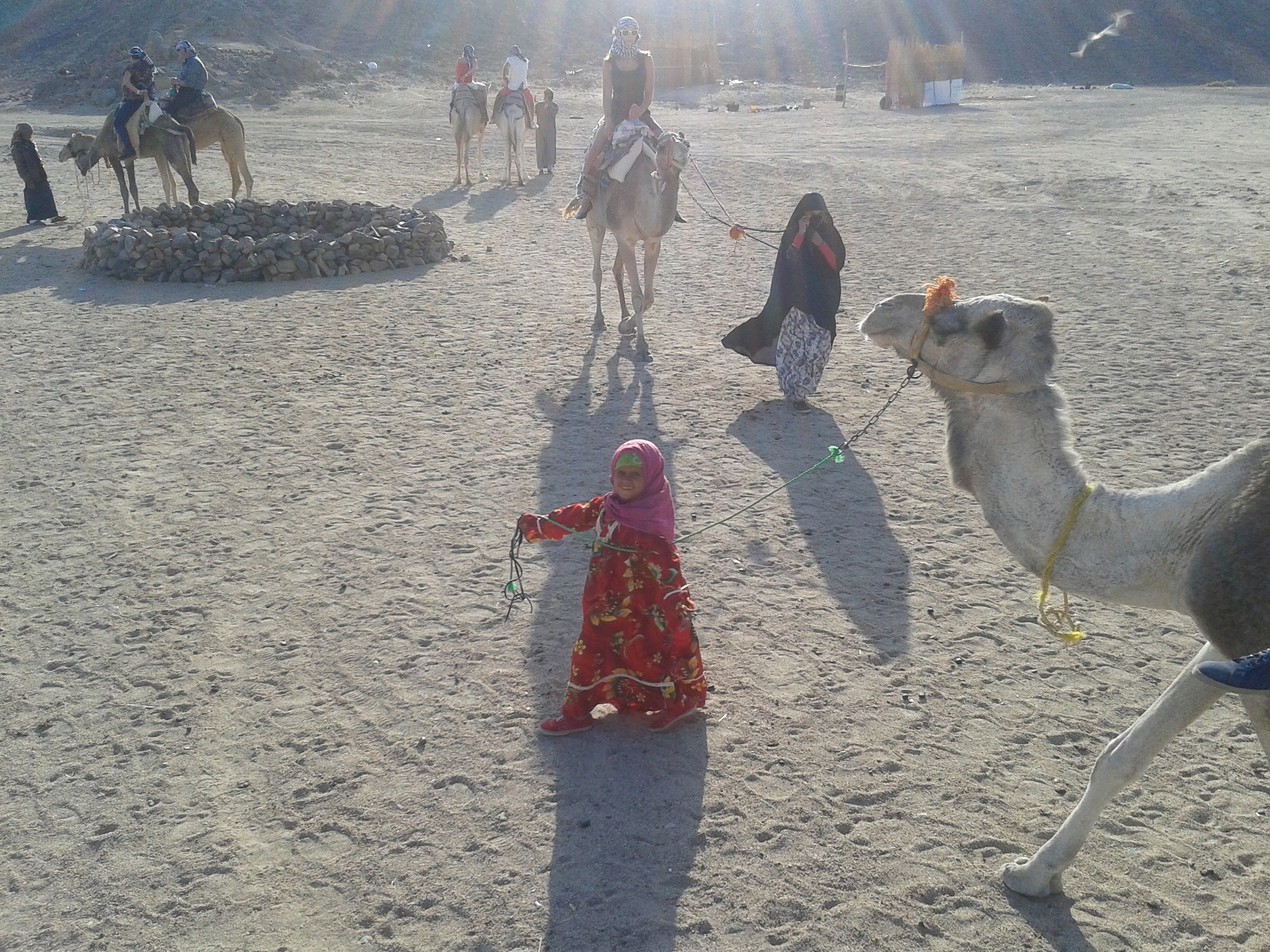 Samsung Galaxy S DUOS sample photo. 20141205_145359.jpg photography