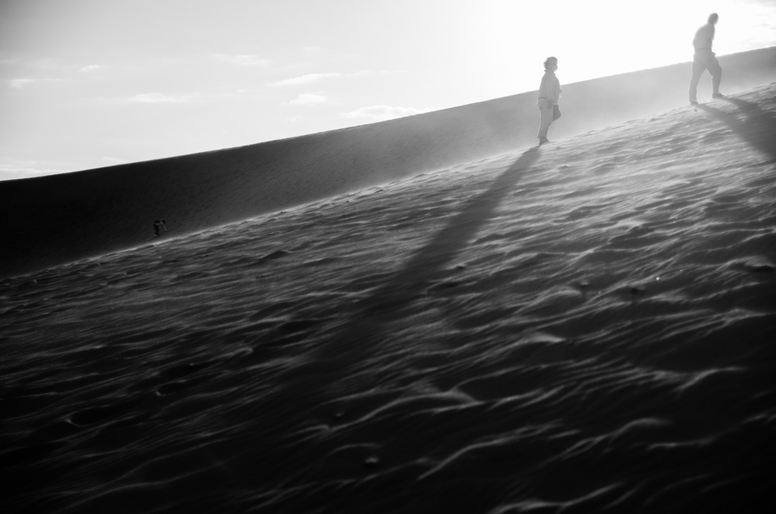 Pentax K-5 IIs sample photo. On a dune photography