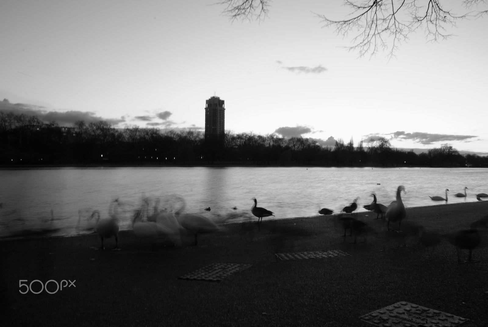 Nikon D60 sample photo. Hyde park photography