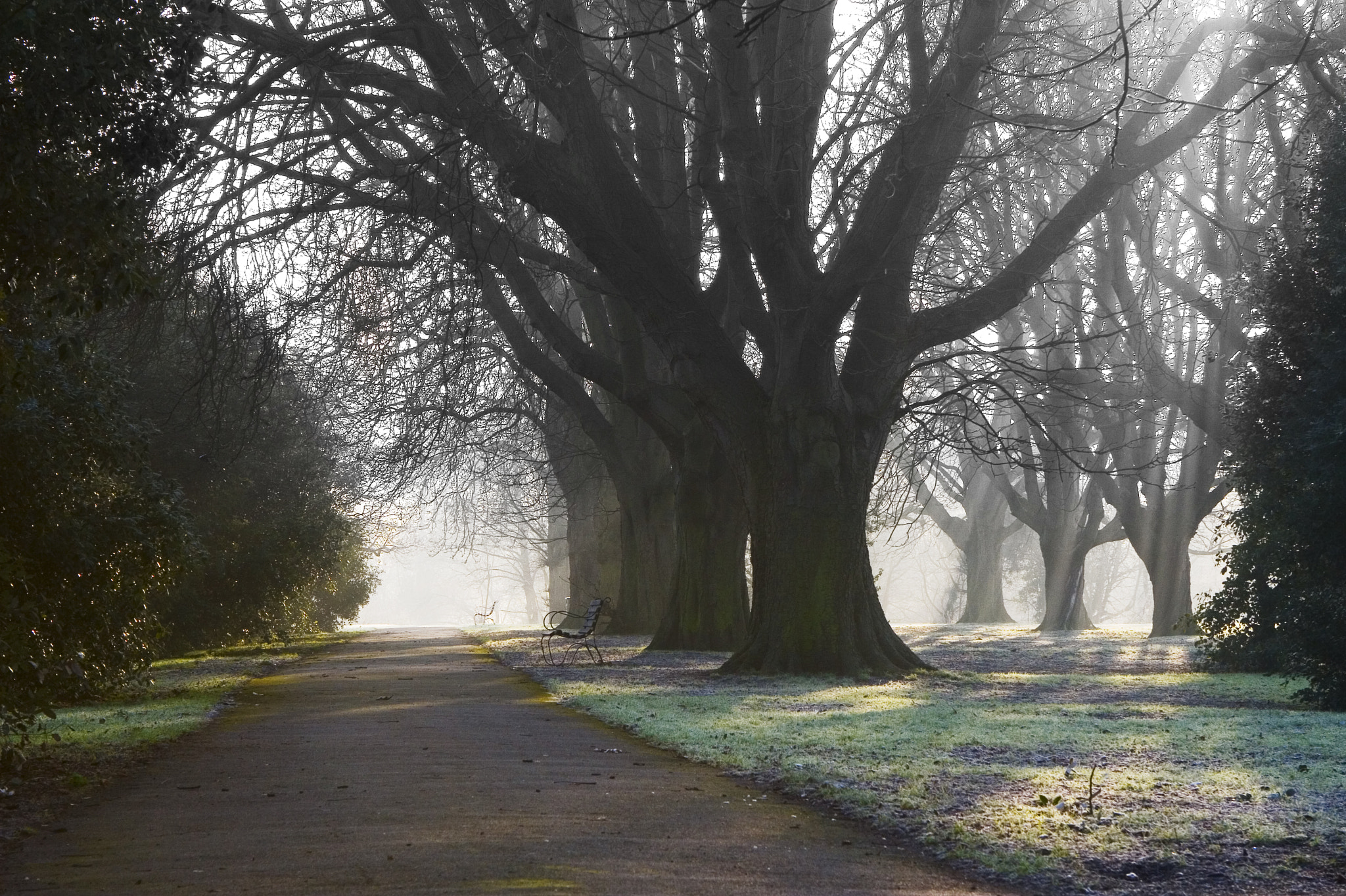 Canon EOS 30D + Canon EF 24-70mm F2.8L USM sample photo. Misty frost photography