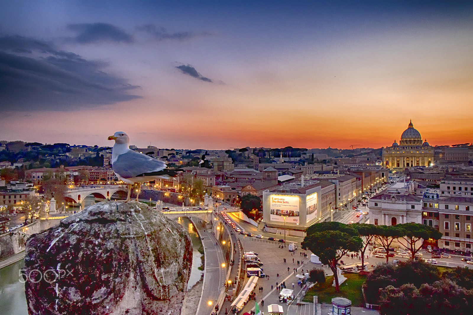 Canon EF-S 10-18mm F4.5–5.6 IS STM sample photo. Roma, gabbiano re di roma photography