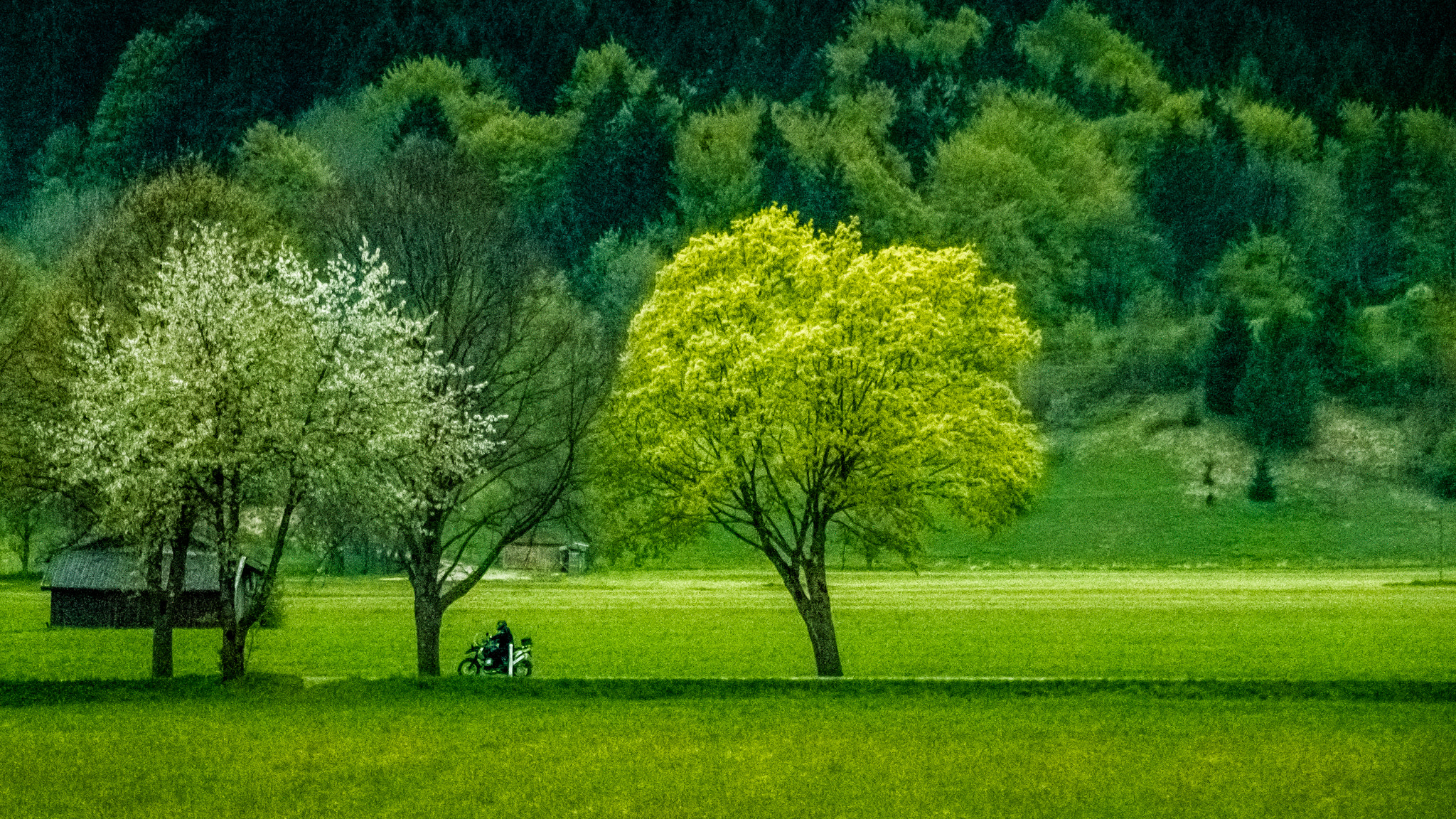 Sigma 18-250mm F3.5-6.3 DC OS HSM sample photo. European landscape photography