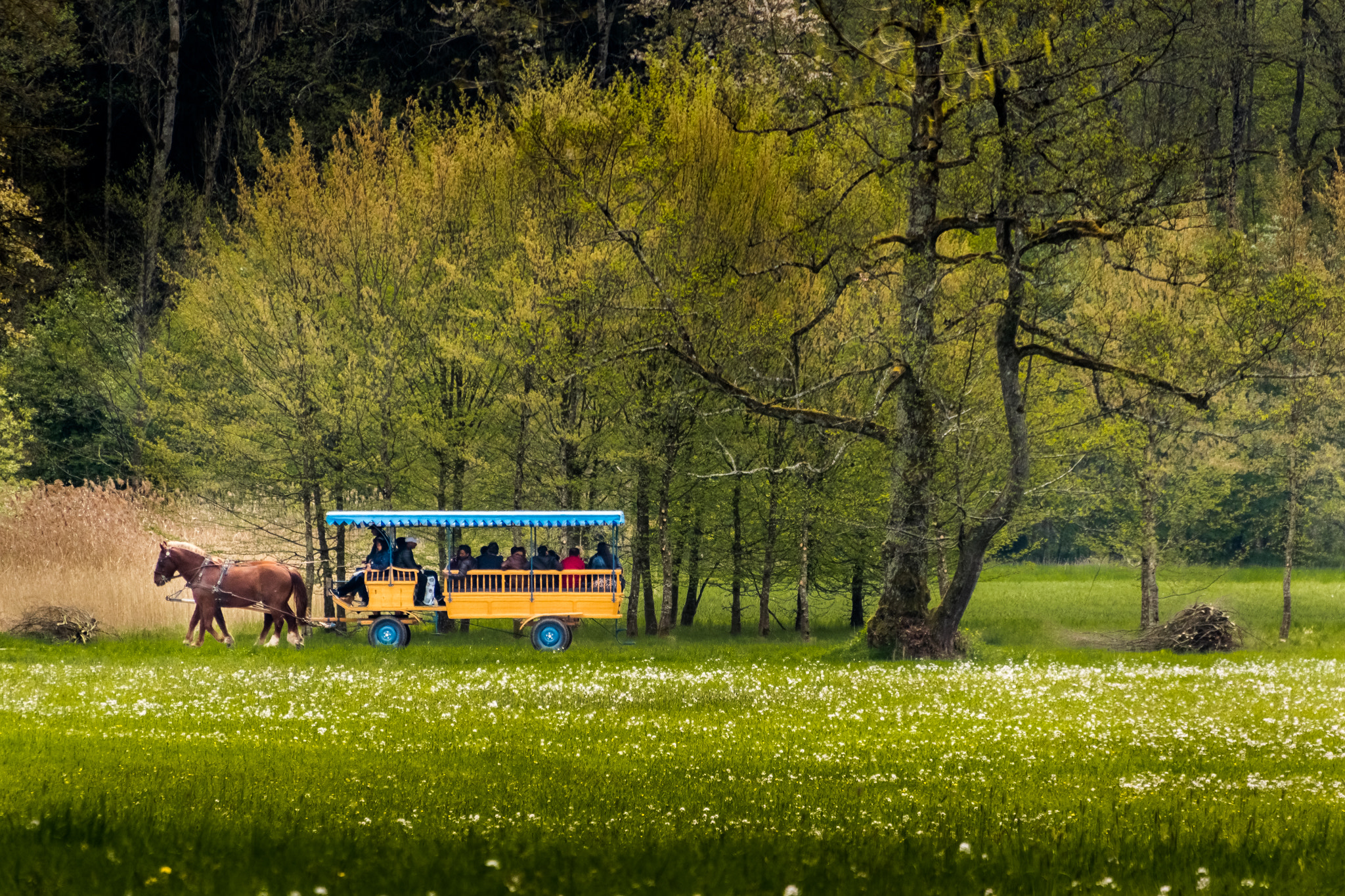 Sigma 18-250mm F3.5-6.3 DC OS HSM sample photo. European landscape photography