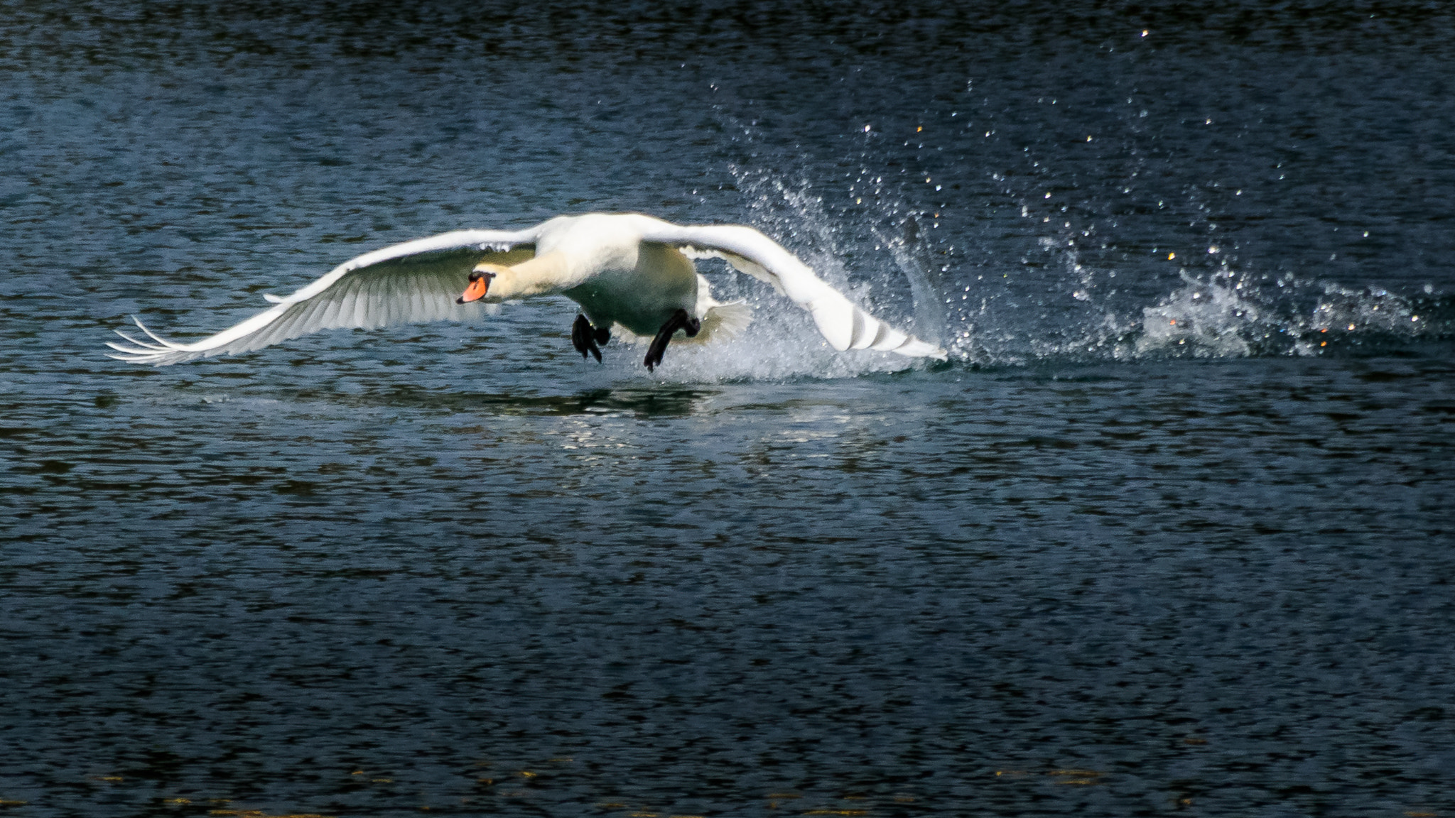 Sigma 18-250mm F3.5-6.3 DC OS HSM sample photo. European landscape photography