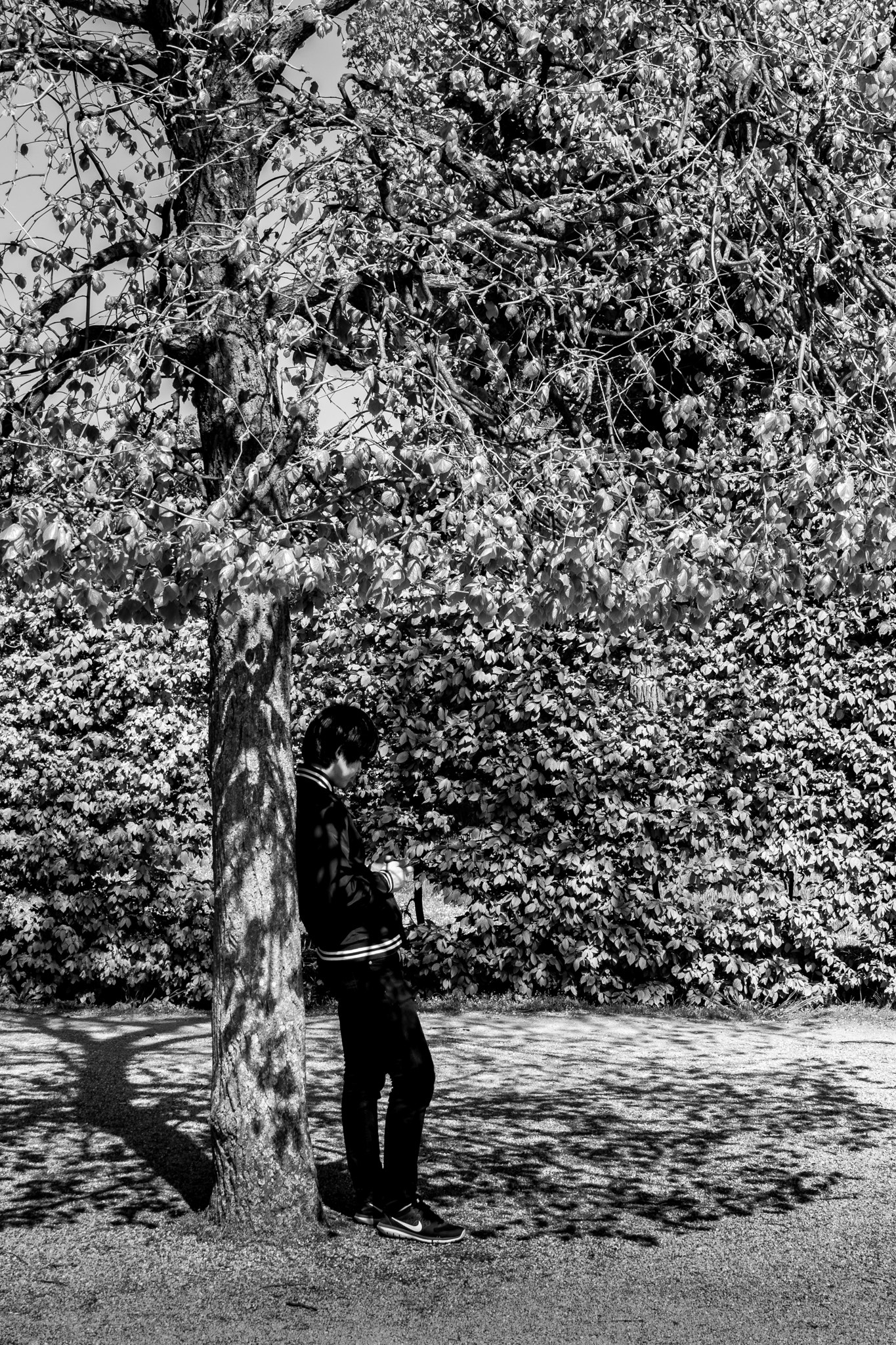 Sigma 18-250mm F3.5-6.3 DC OS HSM sample photo. European landscape photography