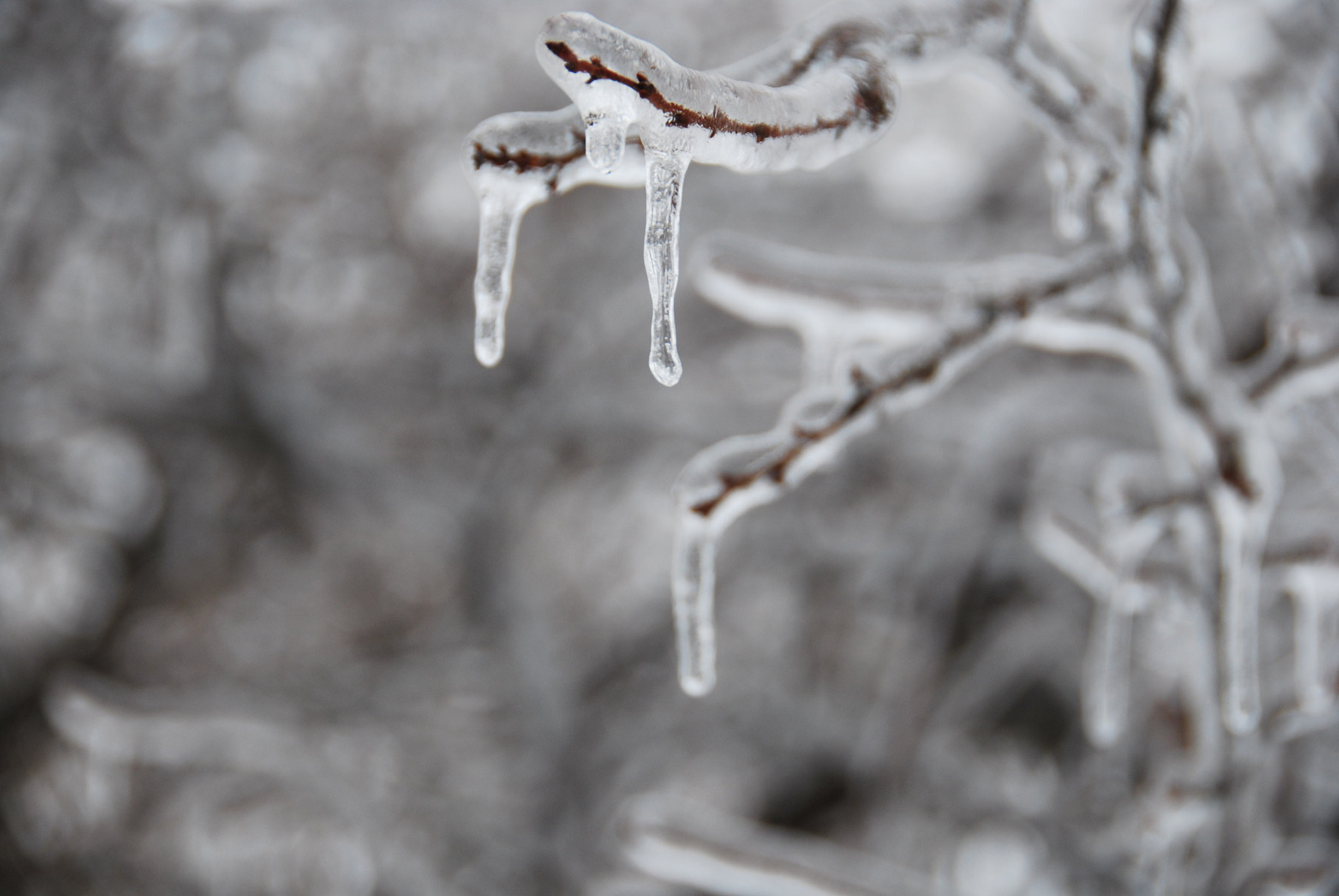 Nikon D60 sample photo. Frozen world photography