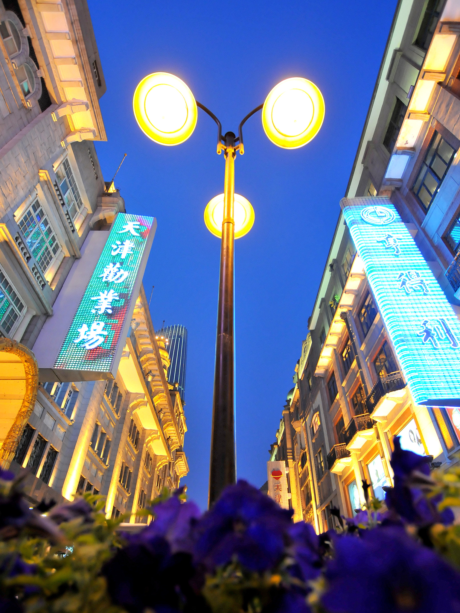 Nikon D300S + Sigma 10-20mm F3.5 EX DC HSM sample photo. Lamp post photography