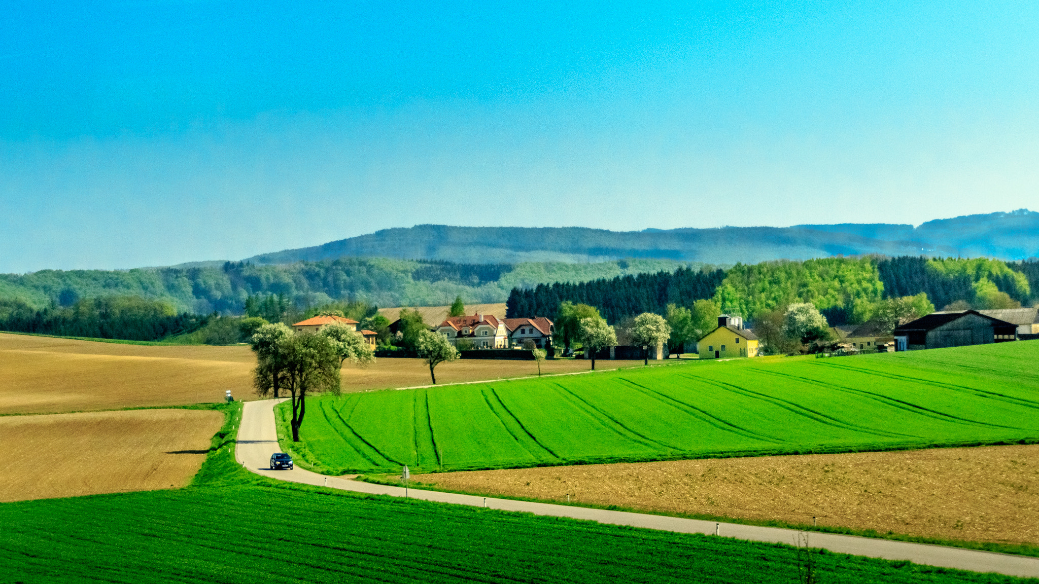 Sigma 18-250mm F3.5-6.3 DC OS HSM sample photo. European beauty photography