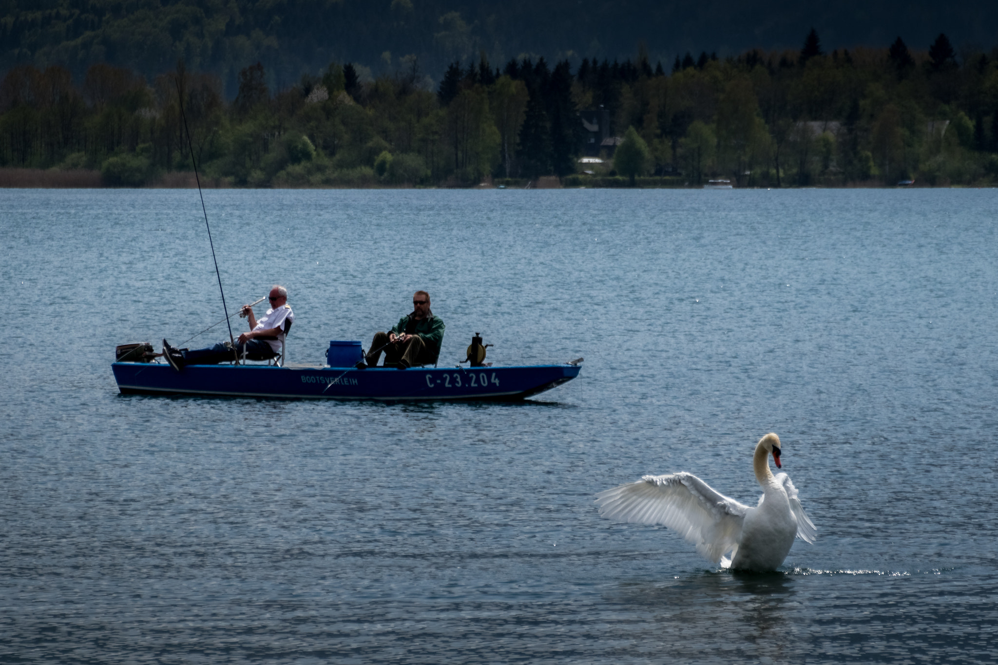 Sigma 18-250mm F3.5-6.3 DC OS HSM sample photo. European beauty photography