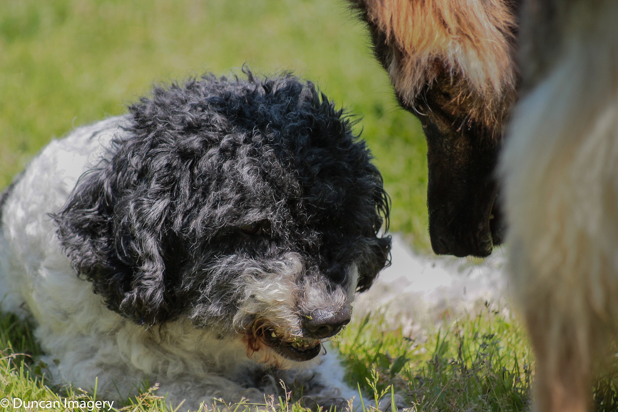 Canon EF 80-200mm F4.5-5.6 II sample photo. What did you find ? photography