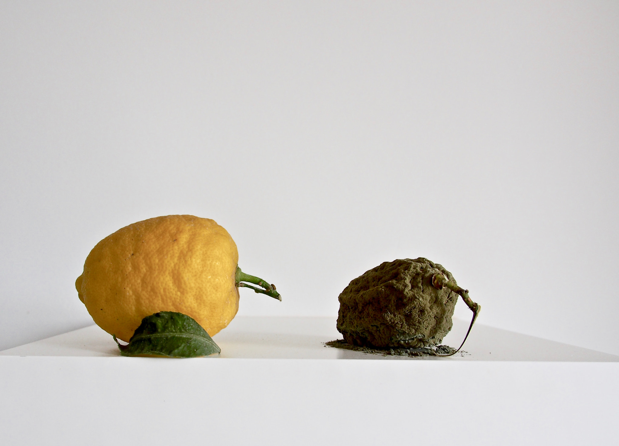 Panasonic Lumix G X Vario 12-35mm F2.8 ASPH Power OIS sample photo. Still life "i due limoni" photography