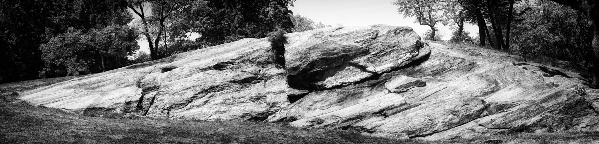 Nikon AF-S Micro-Nikkor 60mm F2.8G ED sample photo. Boulder - central park photography