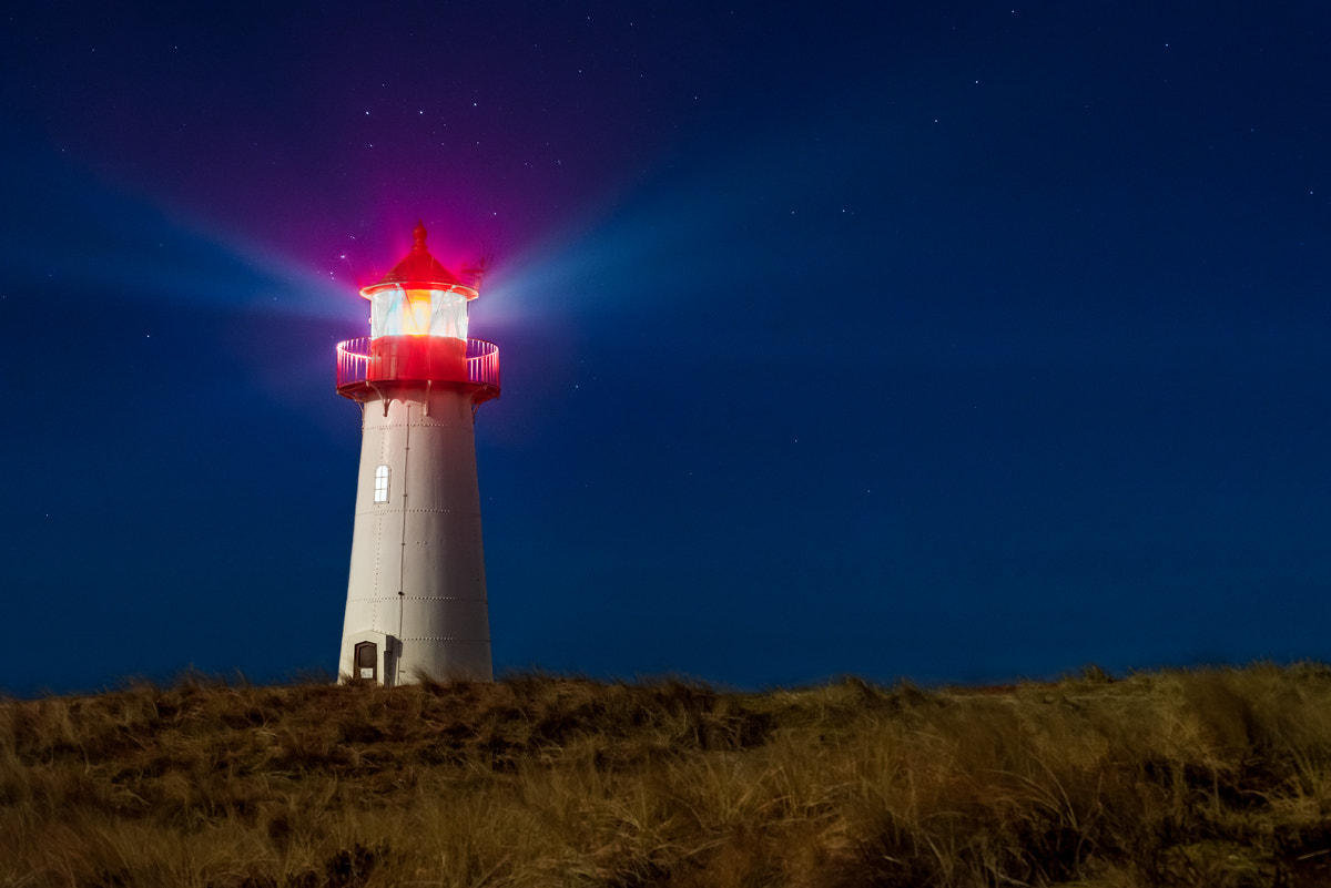 Nikon D610 + Nikon AF Micro-Nikkor 60mm F2.8D sample photo. A light in the dark photography