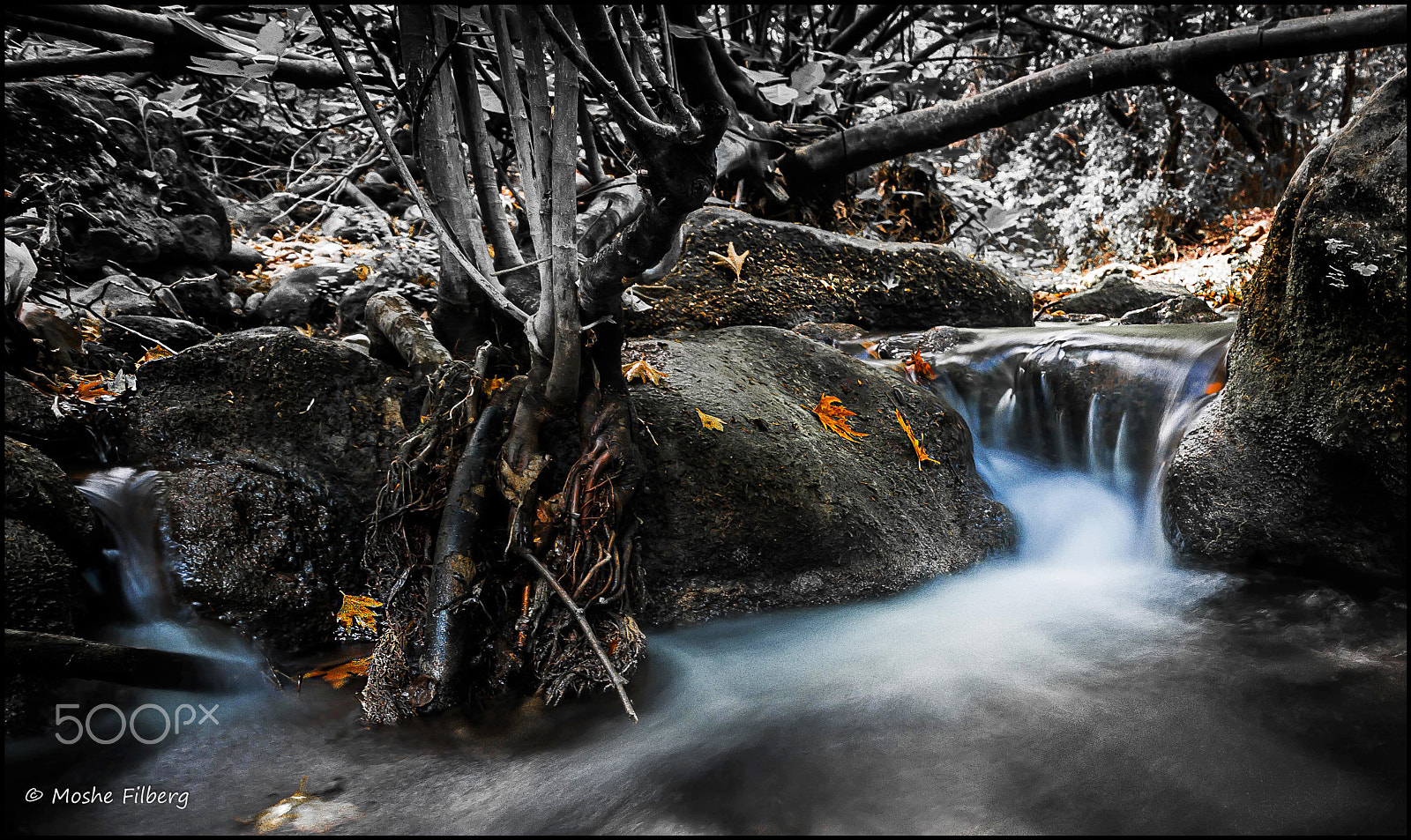 Nikon D810 + Sigma 17-35mm F2.8-4 EX Aspherical sample photo. Fifty shades of grey and one brown photography
