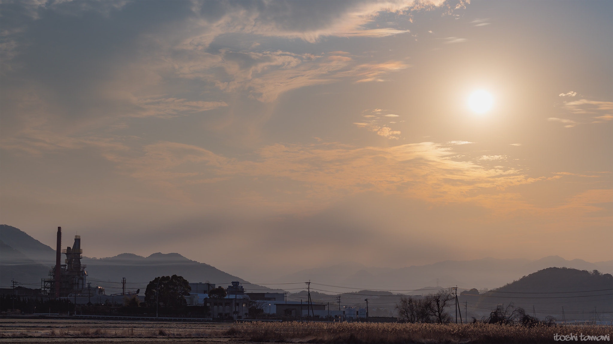 Sony 70-300mm F4.5-5.6 G SSM II sample photo. Morning sun photography