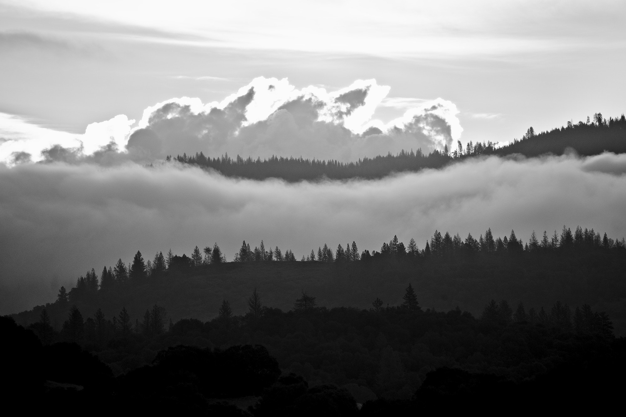 Canon EF 100-400mm F4.5-5.6L IS USM sample photo. Layers of dawn photography