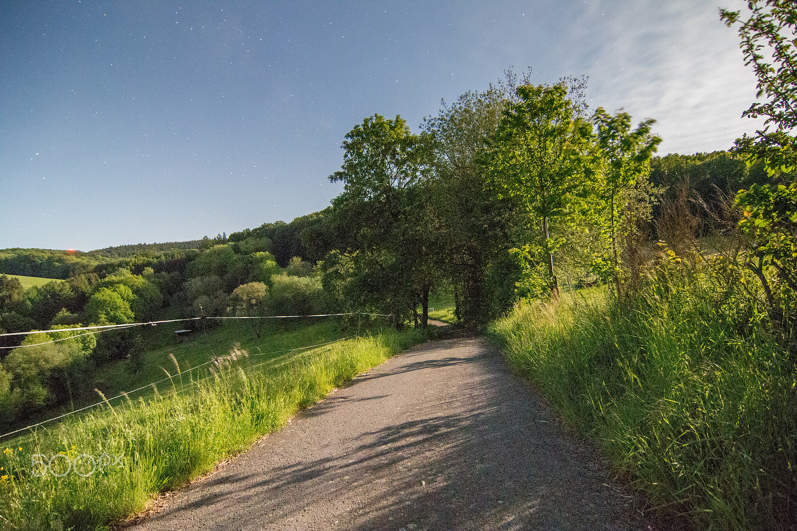 Tokina AT-X Pro 12-24mm F4 (IF) DX sample photo. Is it day or night? photography