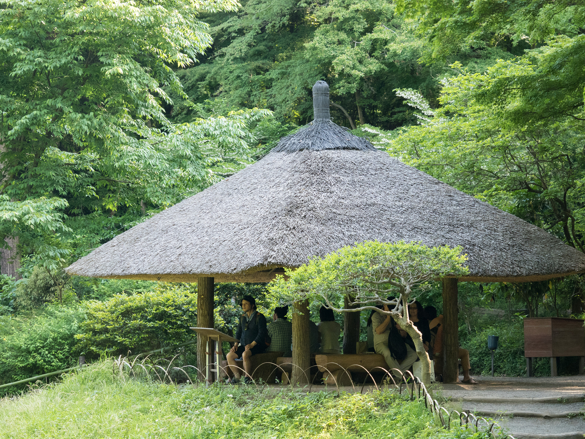 Panasonic Lumix DMC-GM5 sample photo. Japanese garden photography