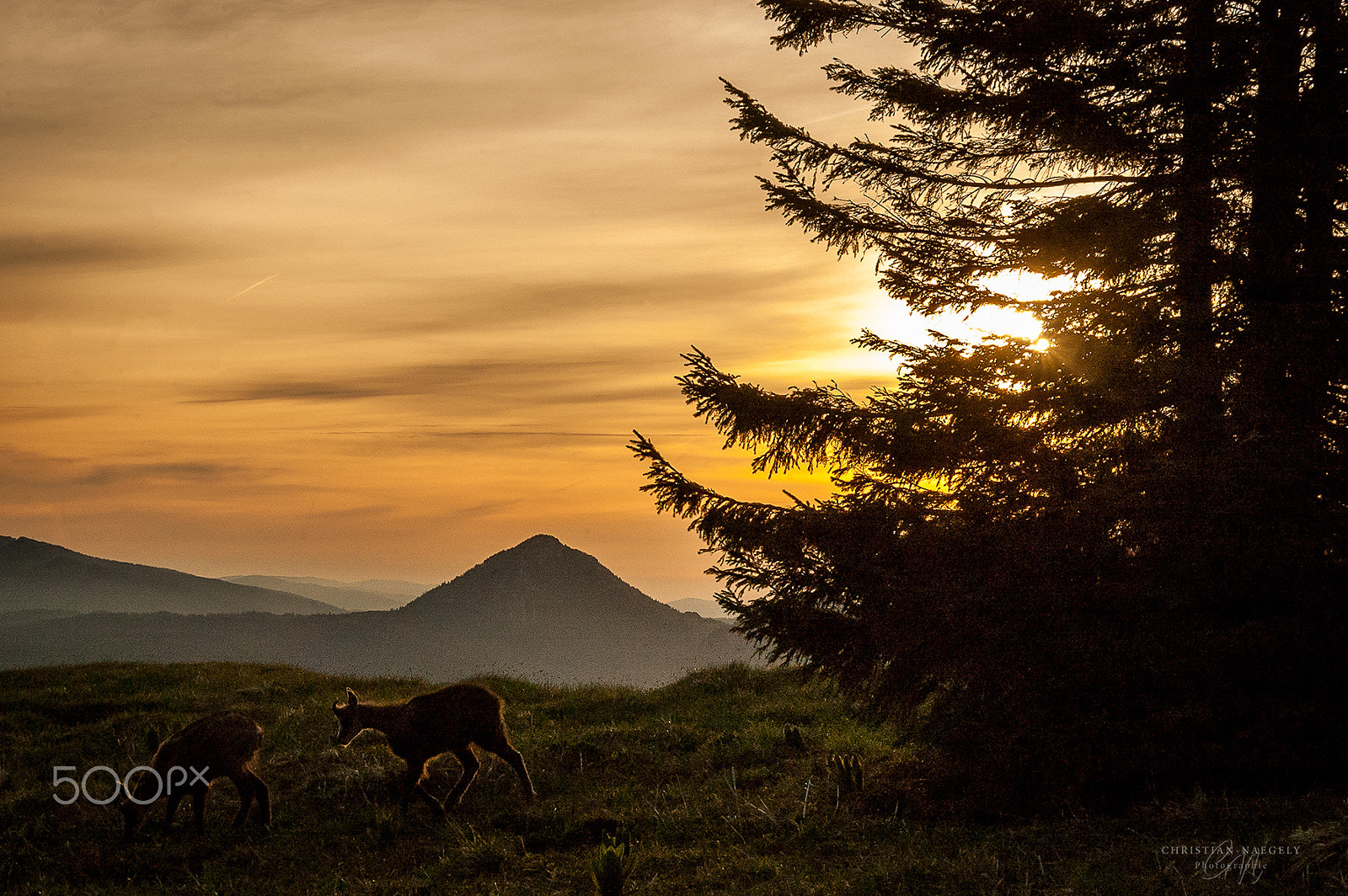 Sigma 18-200mm F3.5-6.3 DC OS HSM sample photo. Sunrise over the  mont d'or photography