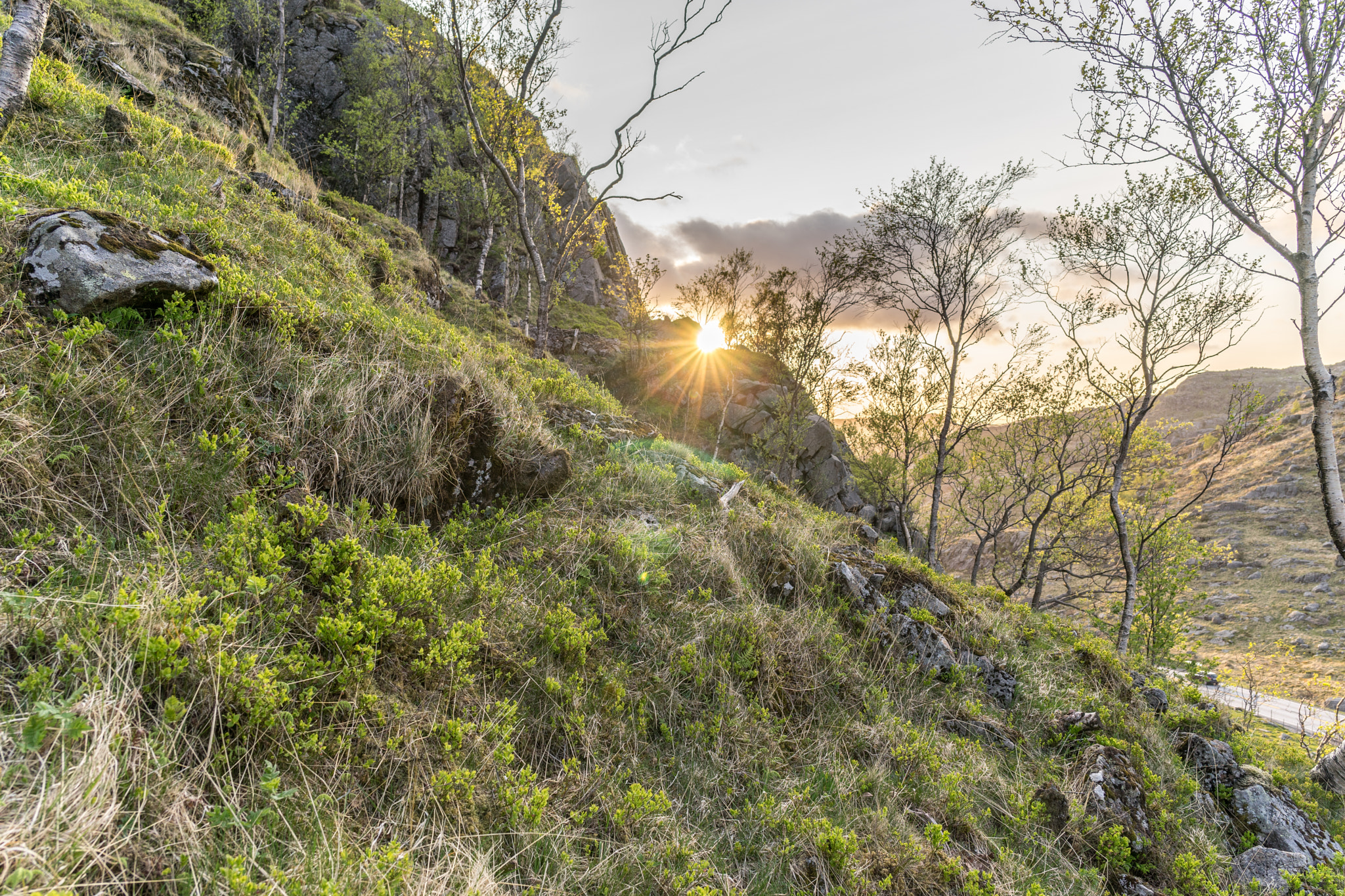 Sony a7 + ZEISS Batis 25mm F2 sample photo. Rays in spring photography