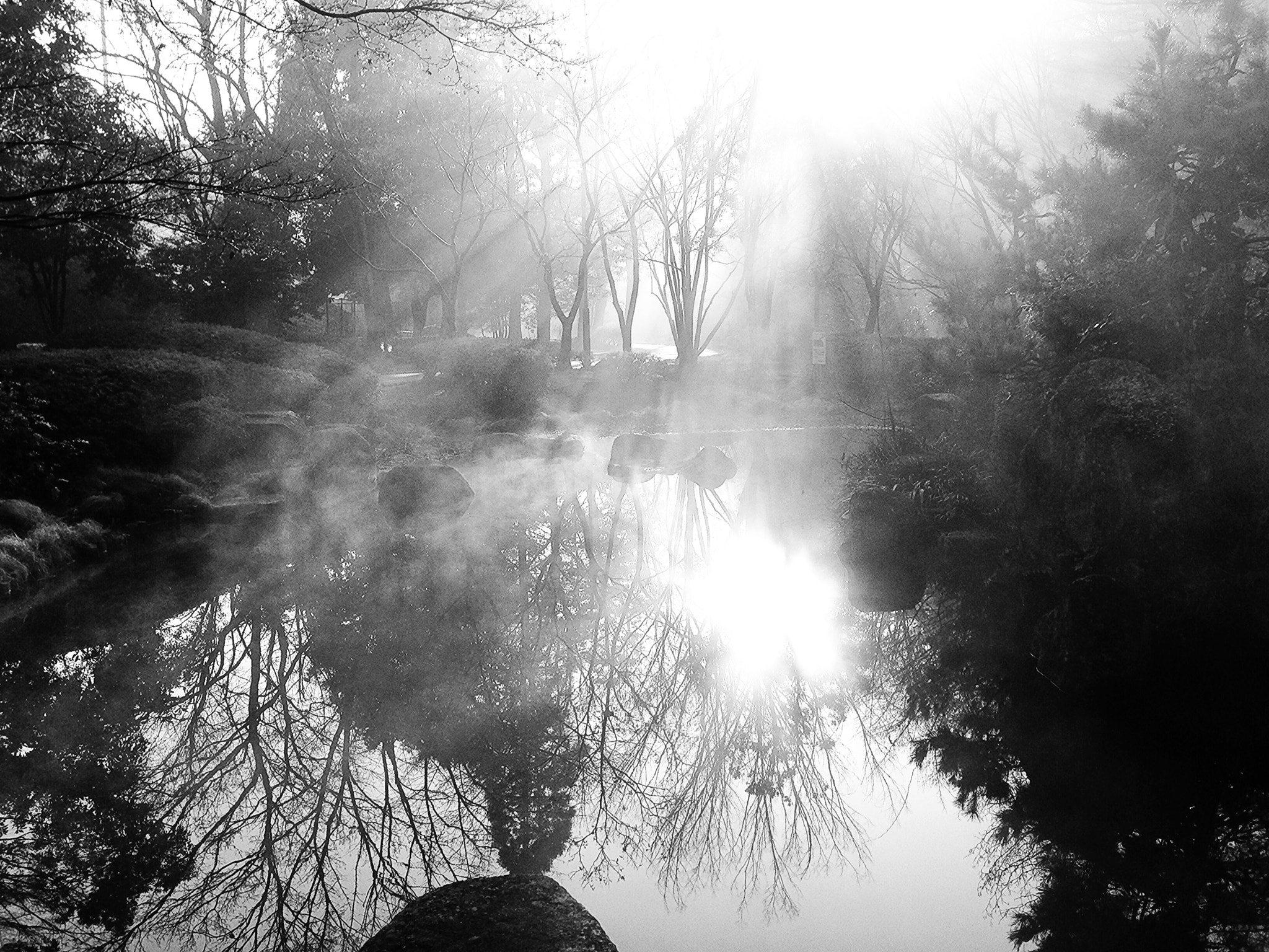 Blux Touch Blux Pro V1.1.1 sample photo. Winter morning photography