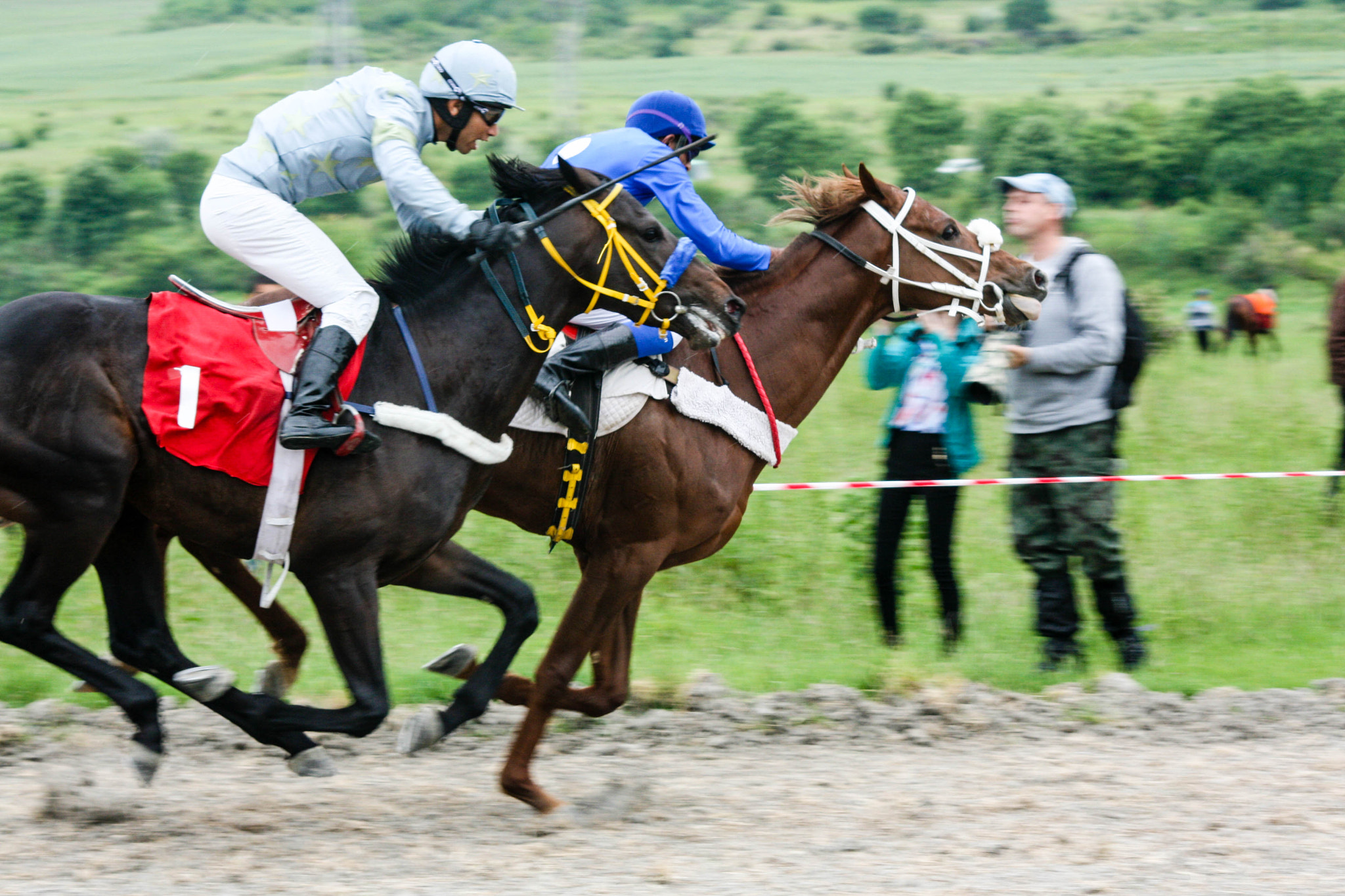 Sigma 70-300mm F4-5.6 APO DG Macro sample photo. Horse racing photography