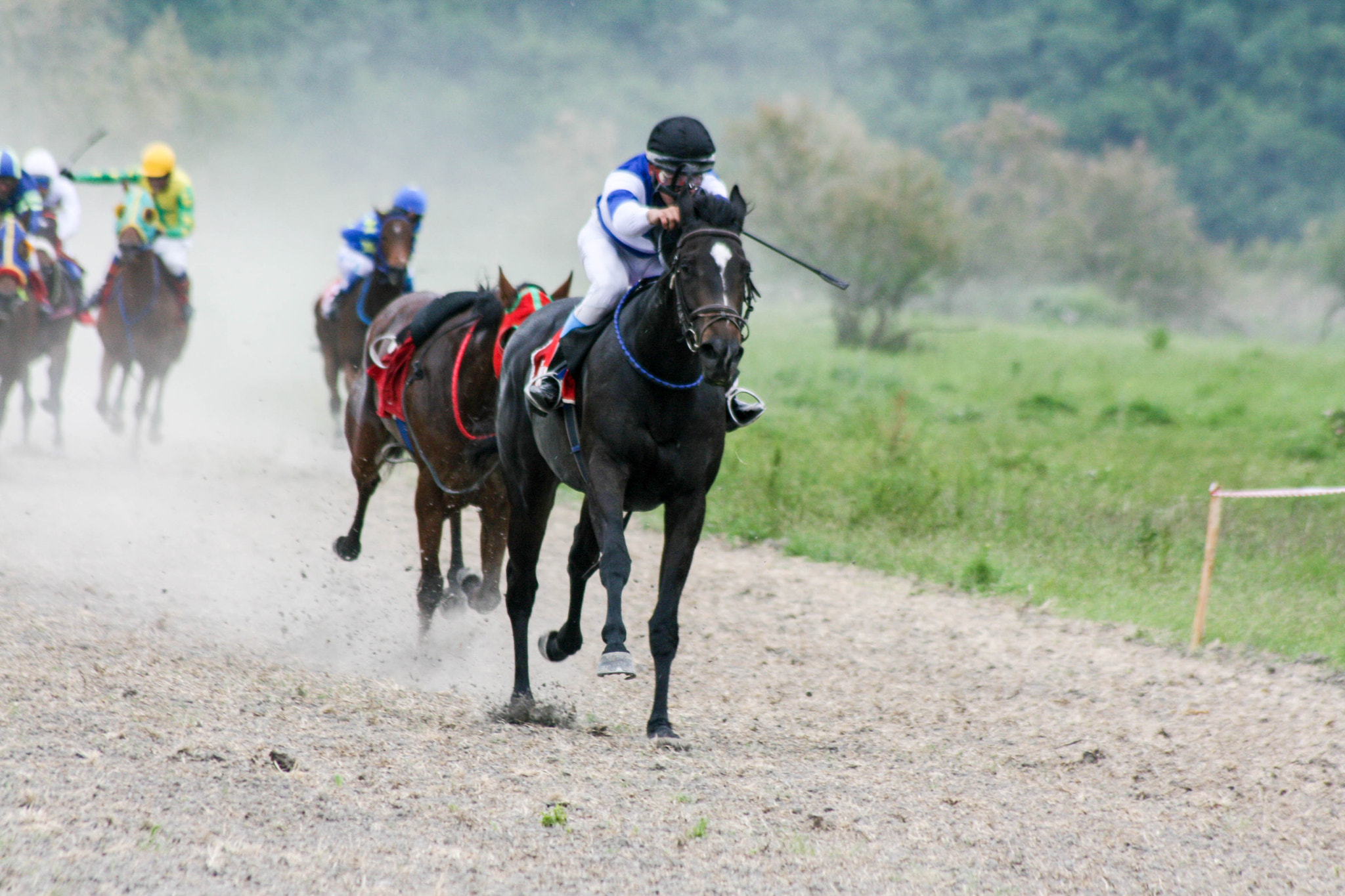 Sigma 70-300mm F4-5.6 APO DG Macro sample photo. Horse racing photography