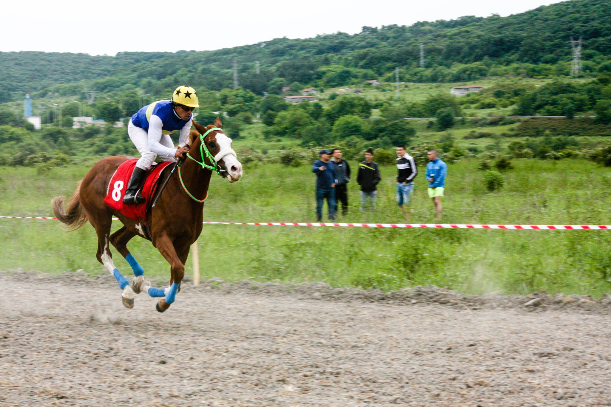 Sigma 70-300mm F4-5.6 APO DG Macro sample photo. Horse racing photography