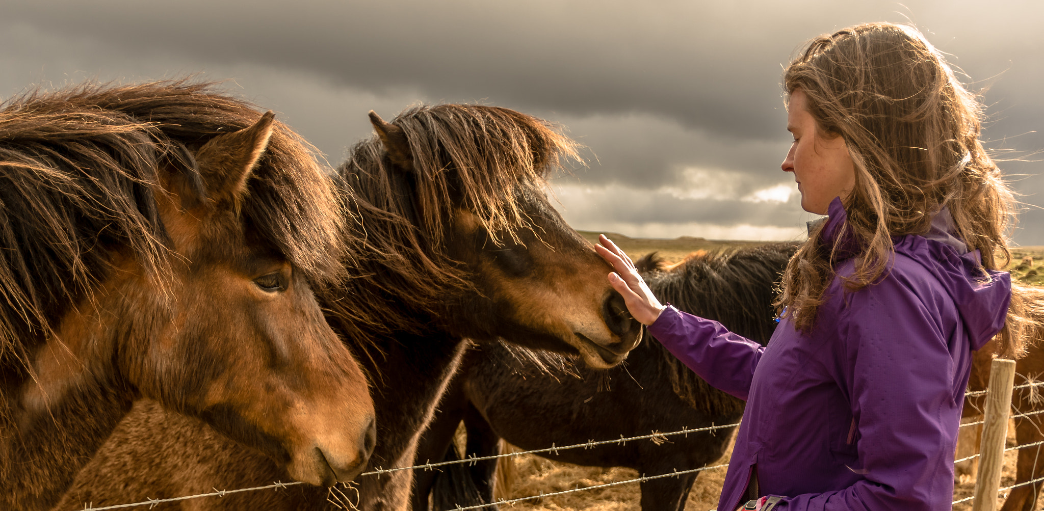 HD Pentax DA 15mm F4 ED AL Limited sample photo. Icelandic love photography
