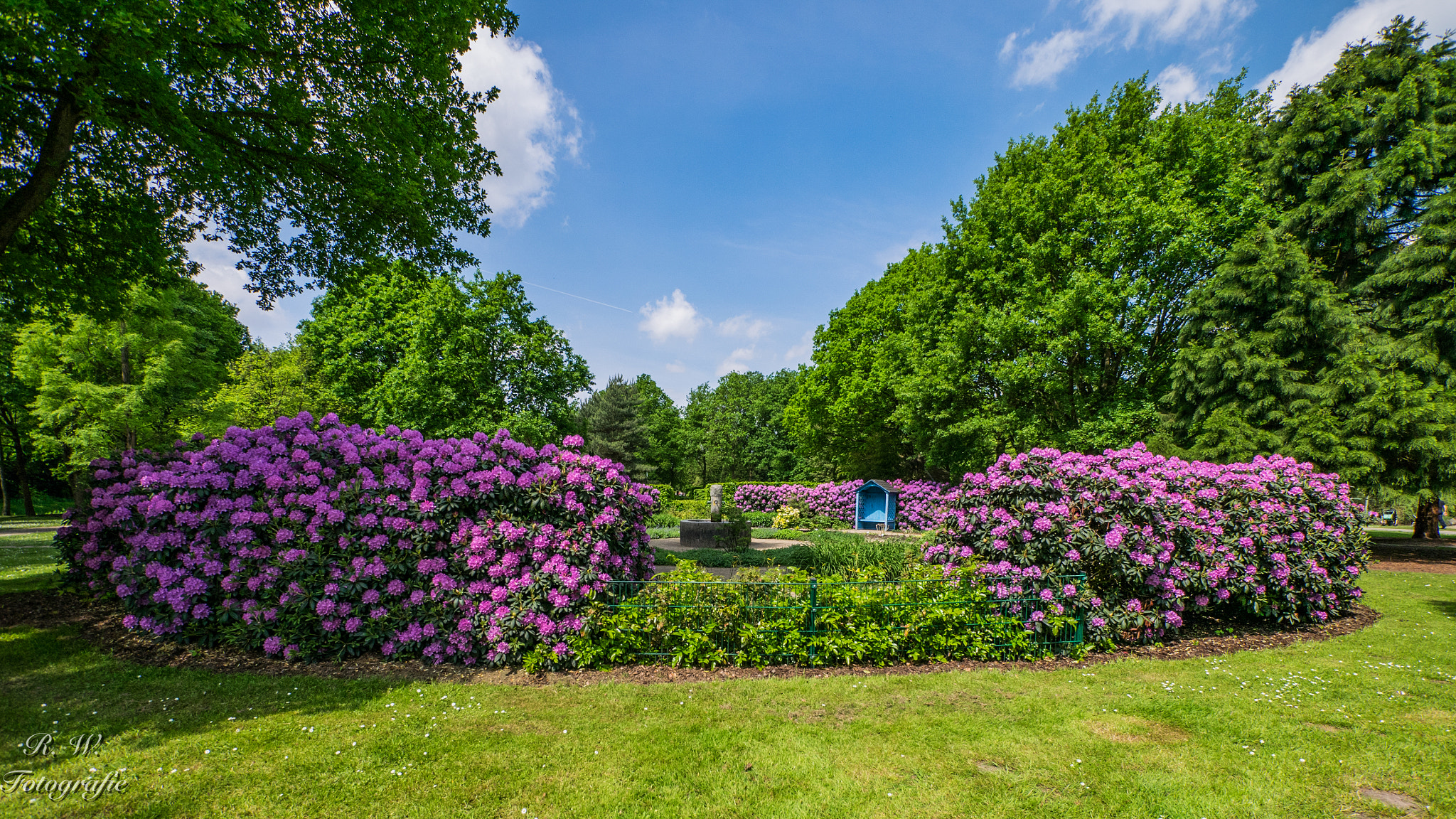 Panasonic Lumix DMC-GM1 + Panasonic Lumix G Vario 7-14mm F4 ASPH sample photo. Duftgarten photography