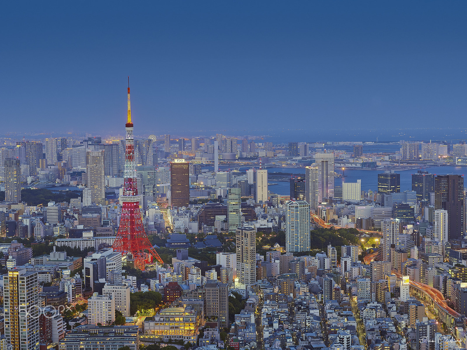 Phase One IQ250 sample photo. Tokyo tower city view photography