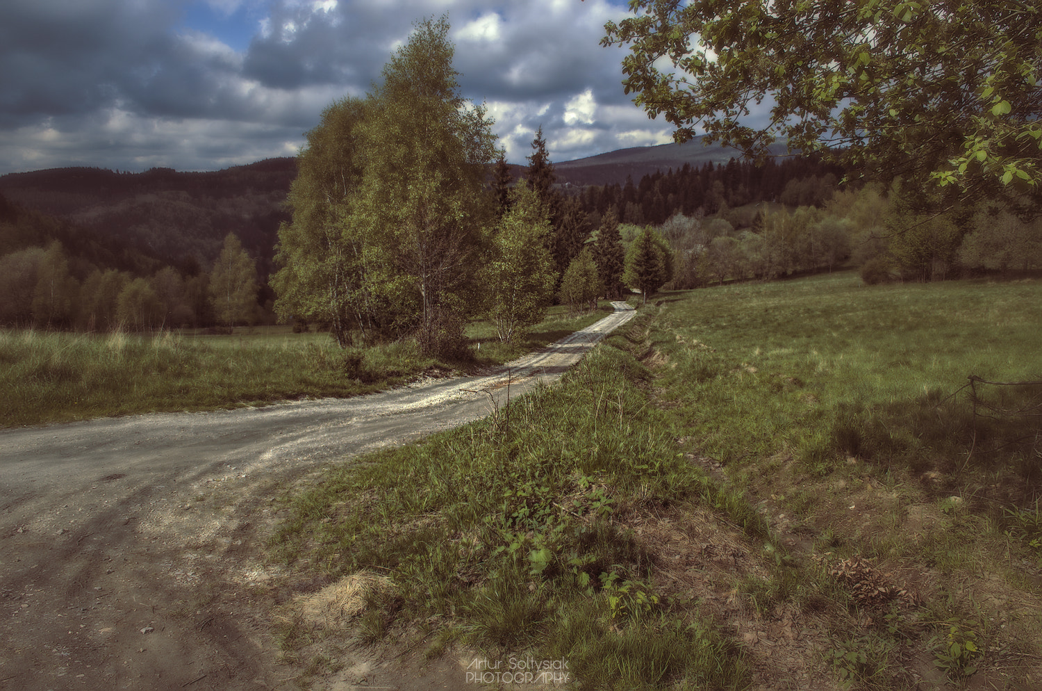 Nikon D70 sample photo. Cr photography