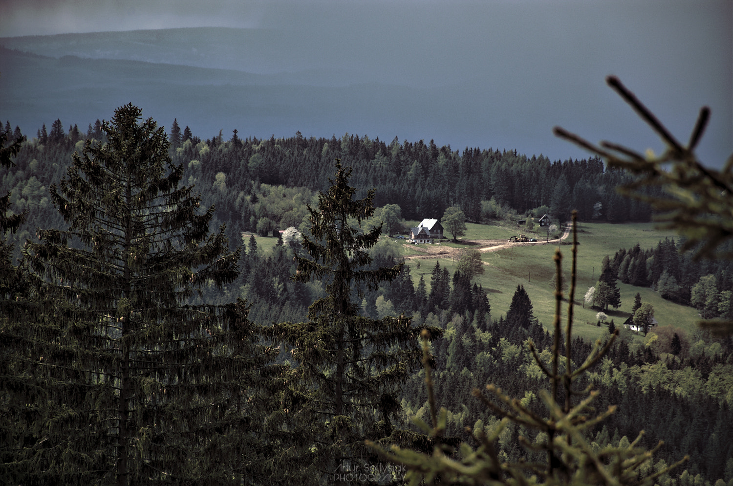 Nikon D70 sample photo. Cr photography
