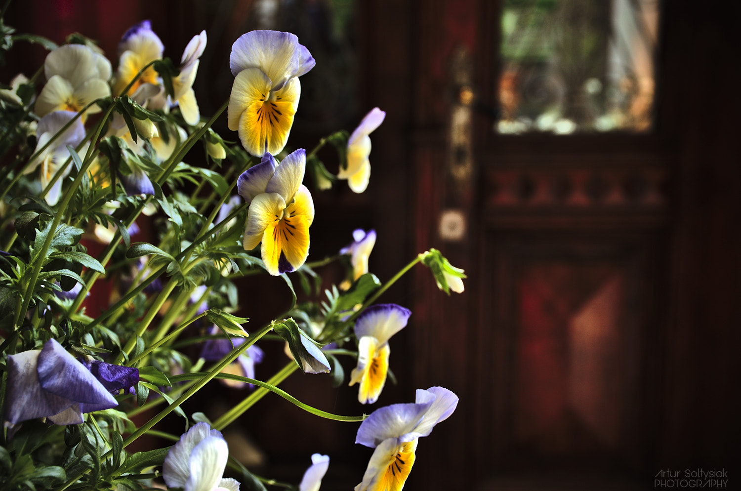 Nikon D70 sample photo. Cr photography