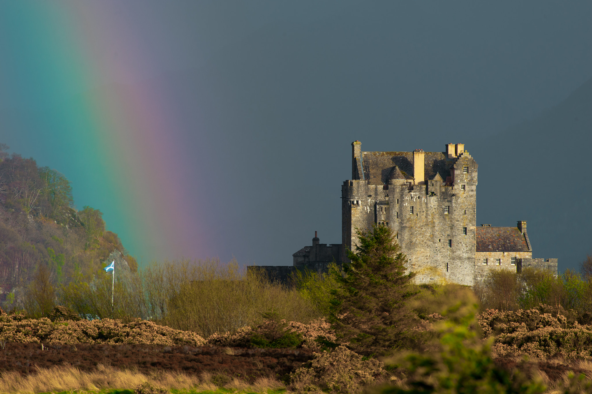Nikon D3 sample photo. Ecosse : pluie colorée photography