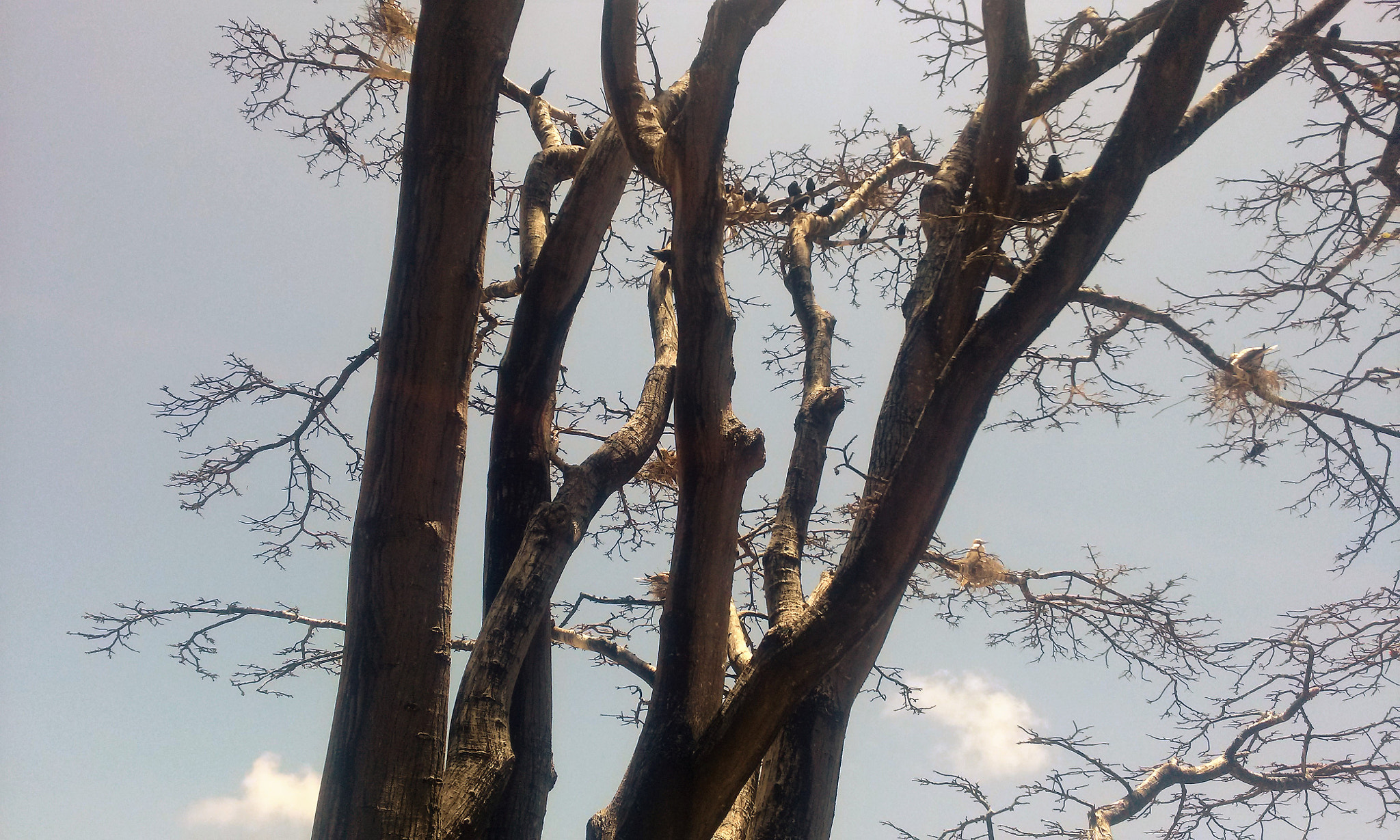 LG Optimus G sample photo. 20150914_122430.jpg photography