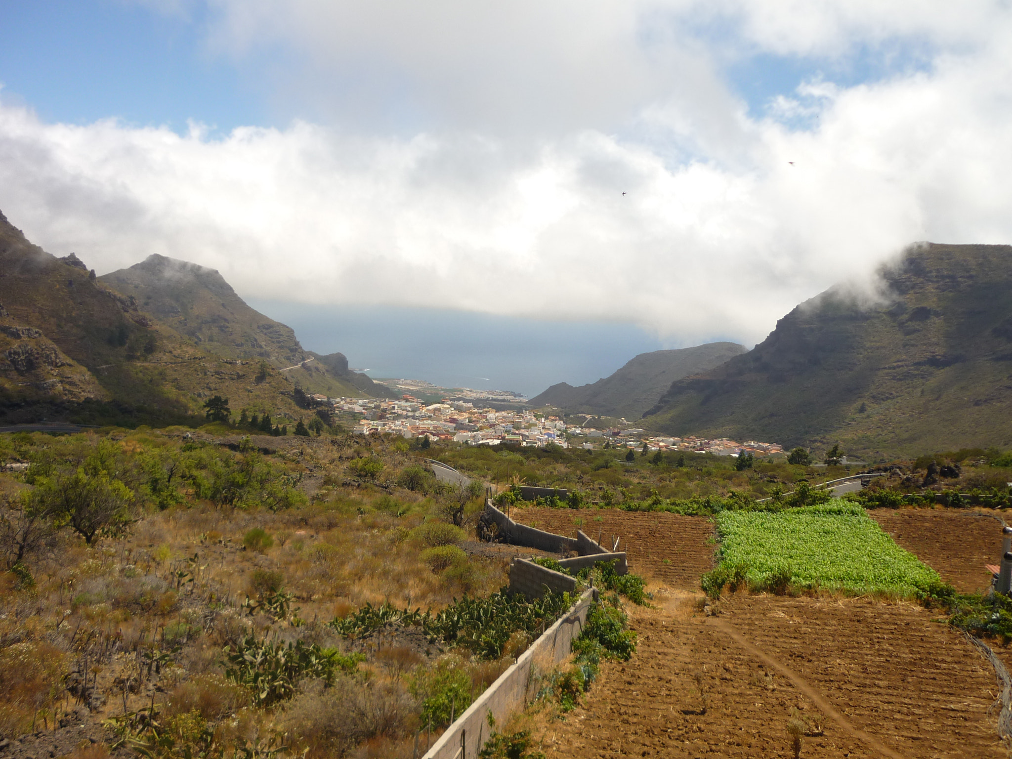 Panasonic DMC-FS4 sample photo. Tenerife photography