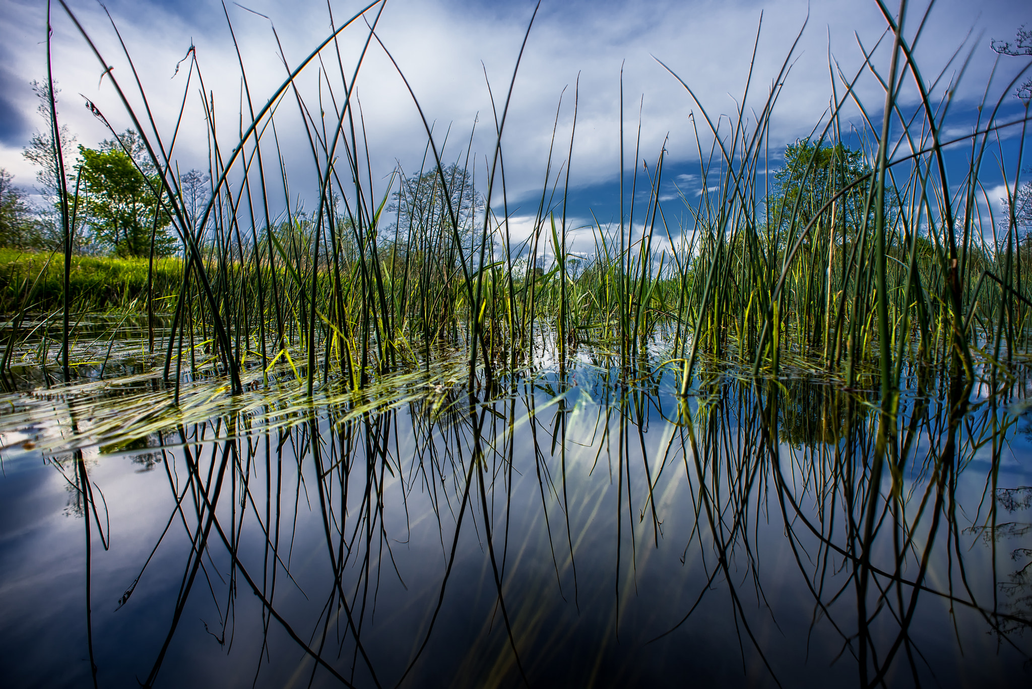 Nikon D810 + Nikon AF Nikkor 20mm F2.8D sample photo. A forgotten paradise photography