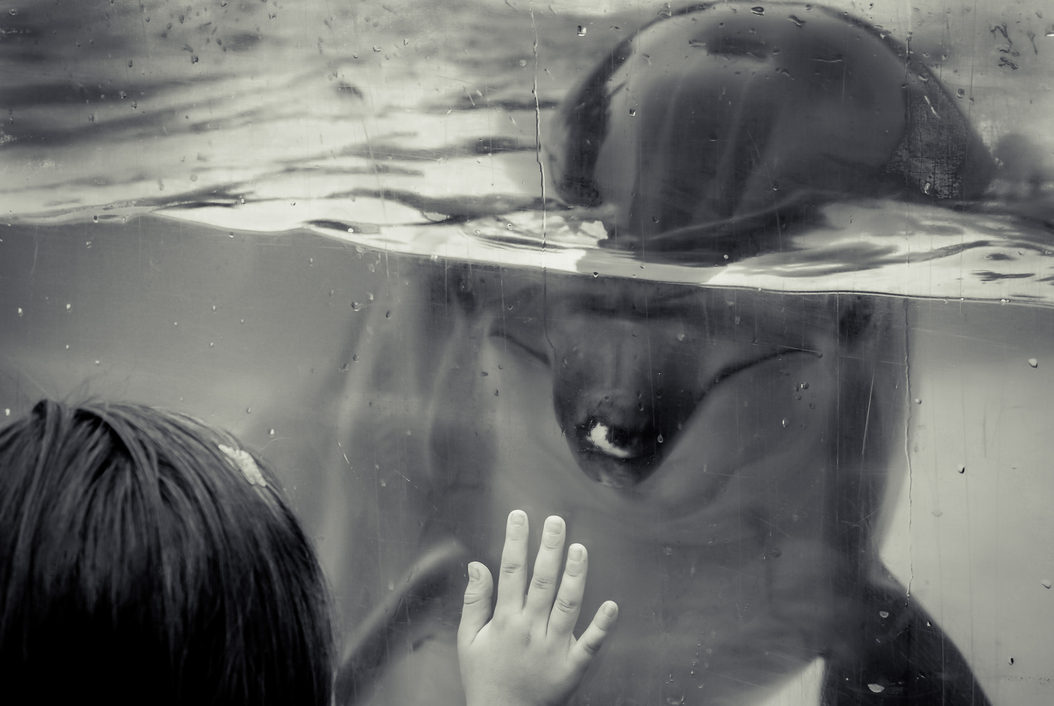 Nikon D40X sample photo. Something beautiful photography