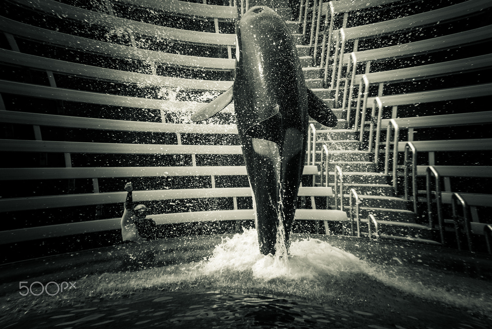 Nikon D40X sample photo. Splash photography