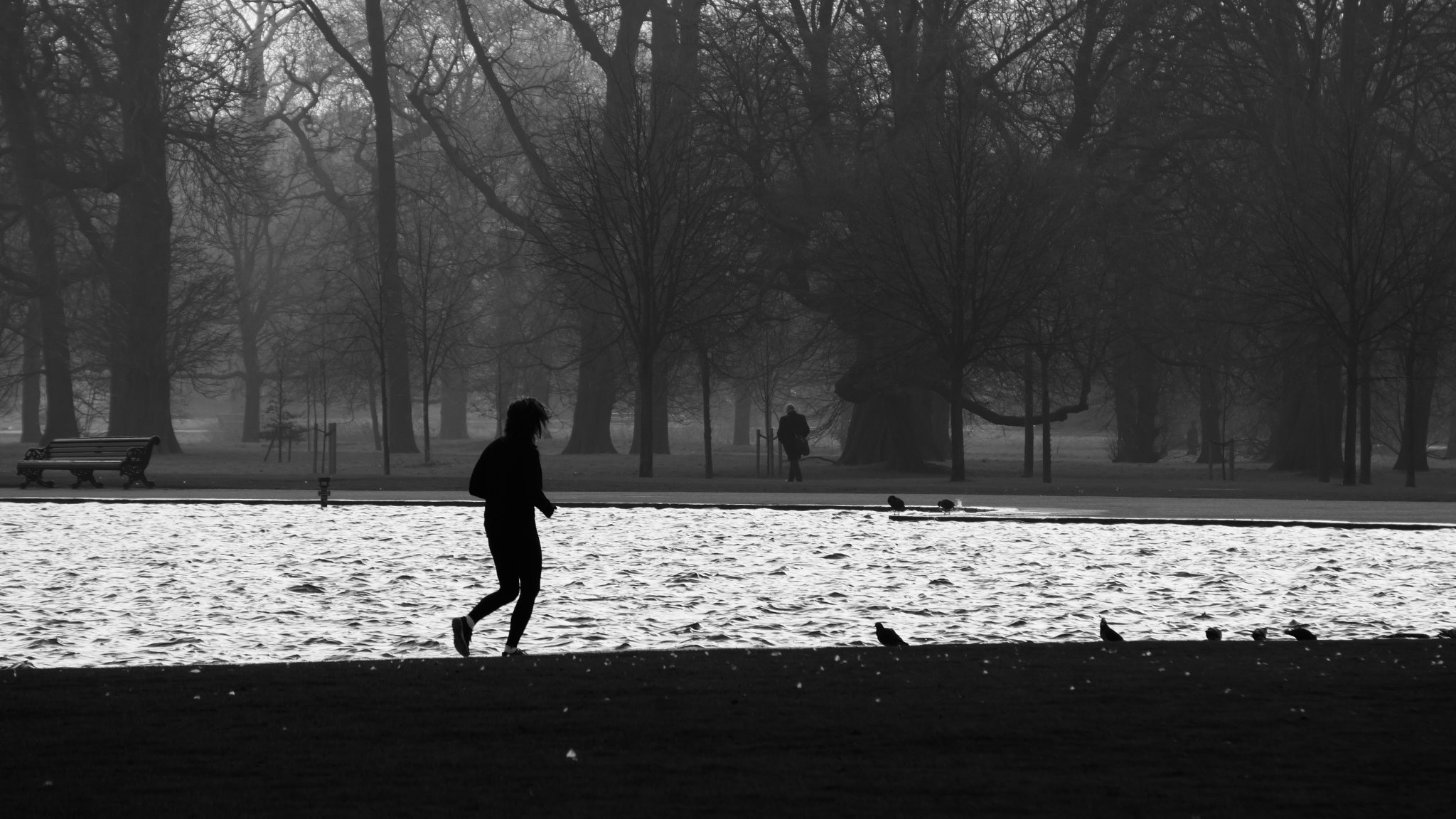 Sony Alpha a3000 sample photo. Born to run photography
