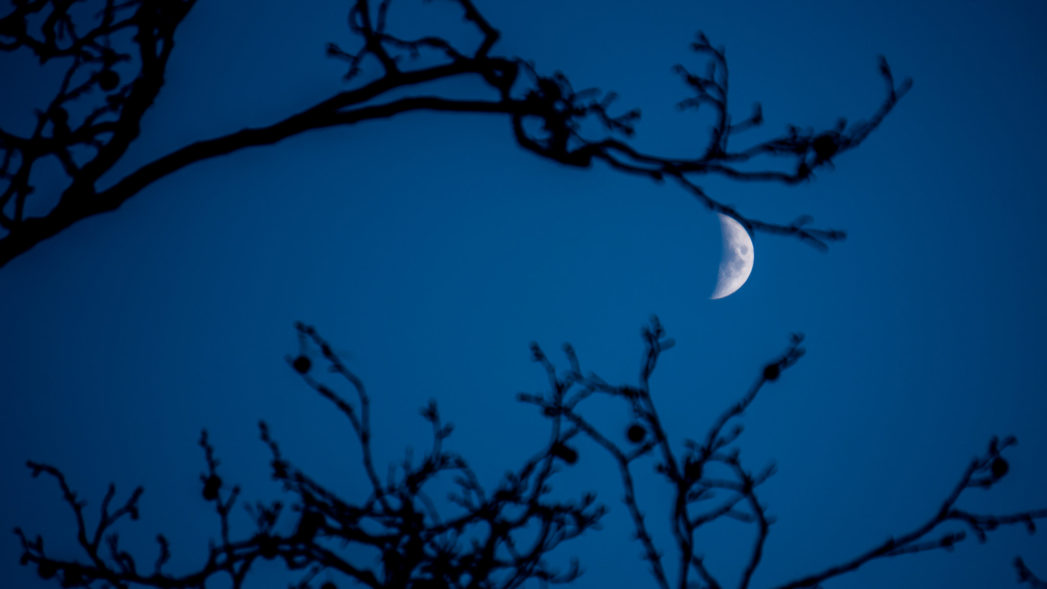 Sony Alpha a3000 sample photo