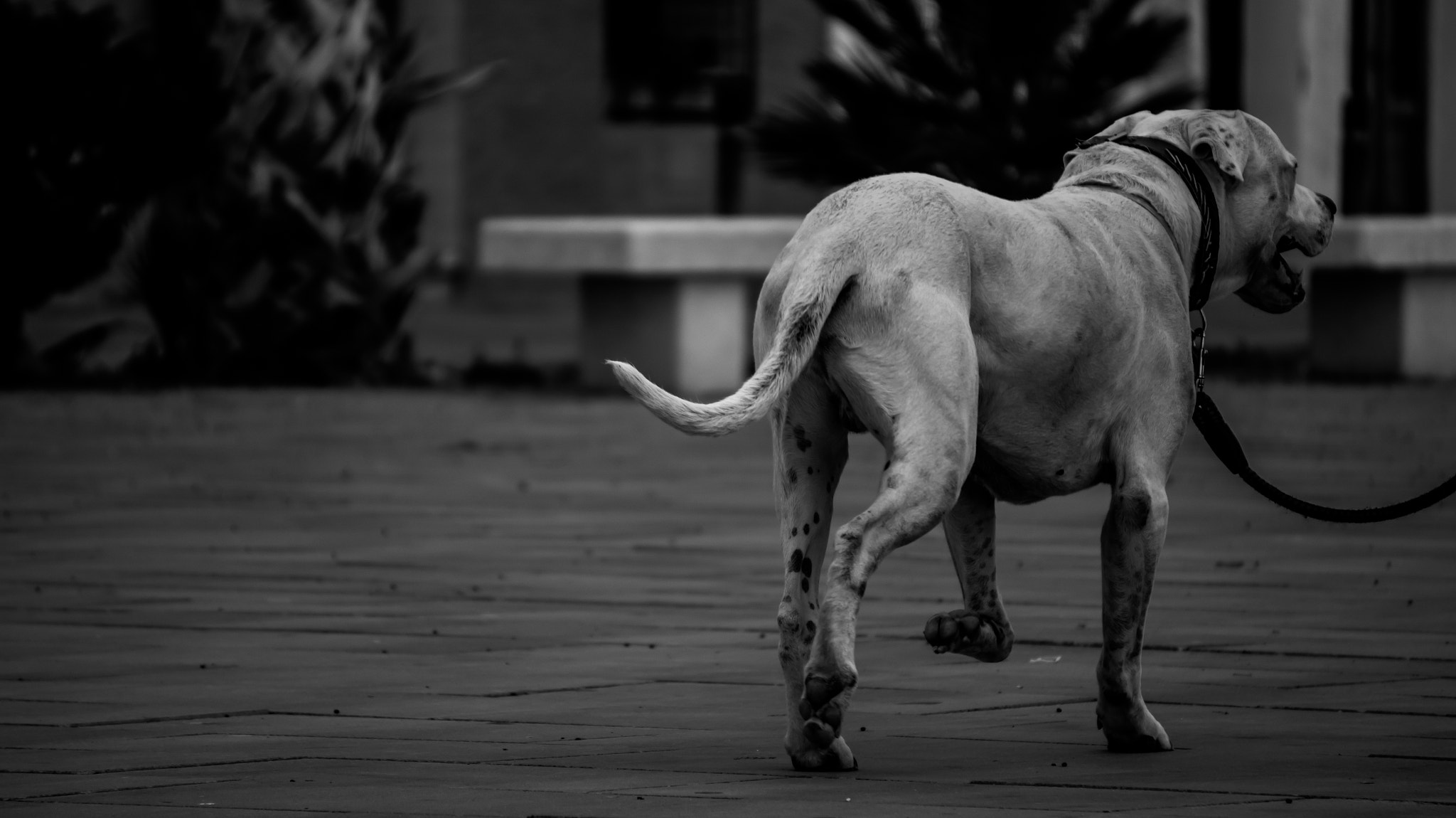 Sony Alpha a3000 sample photo