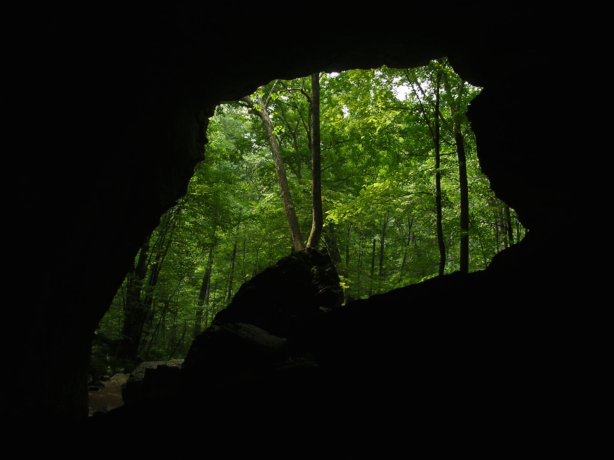 Nikon E3100 sample photo. Carter caves, kentucky photography