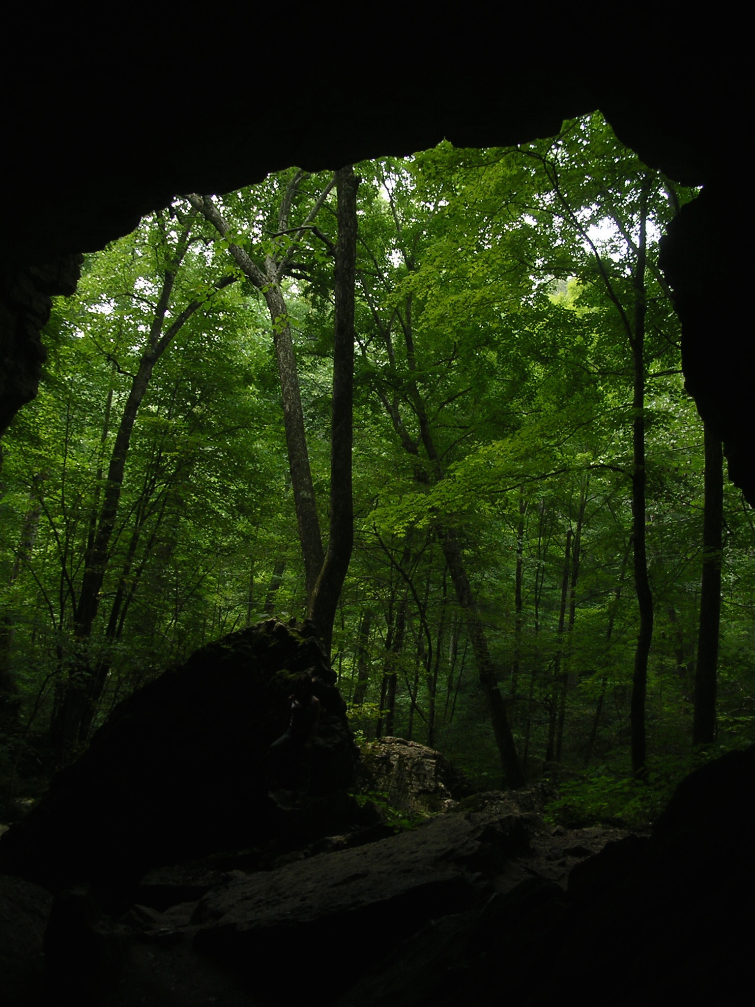 Nikon E3100 sample photo. Carter caves, kentucky photography