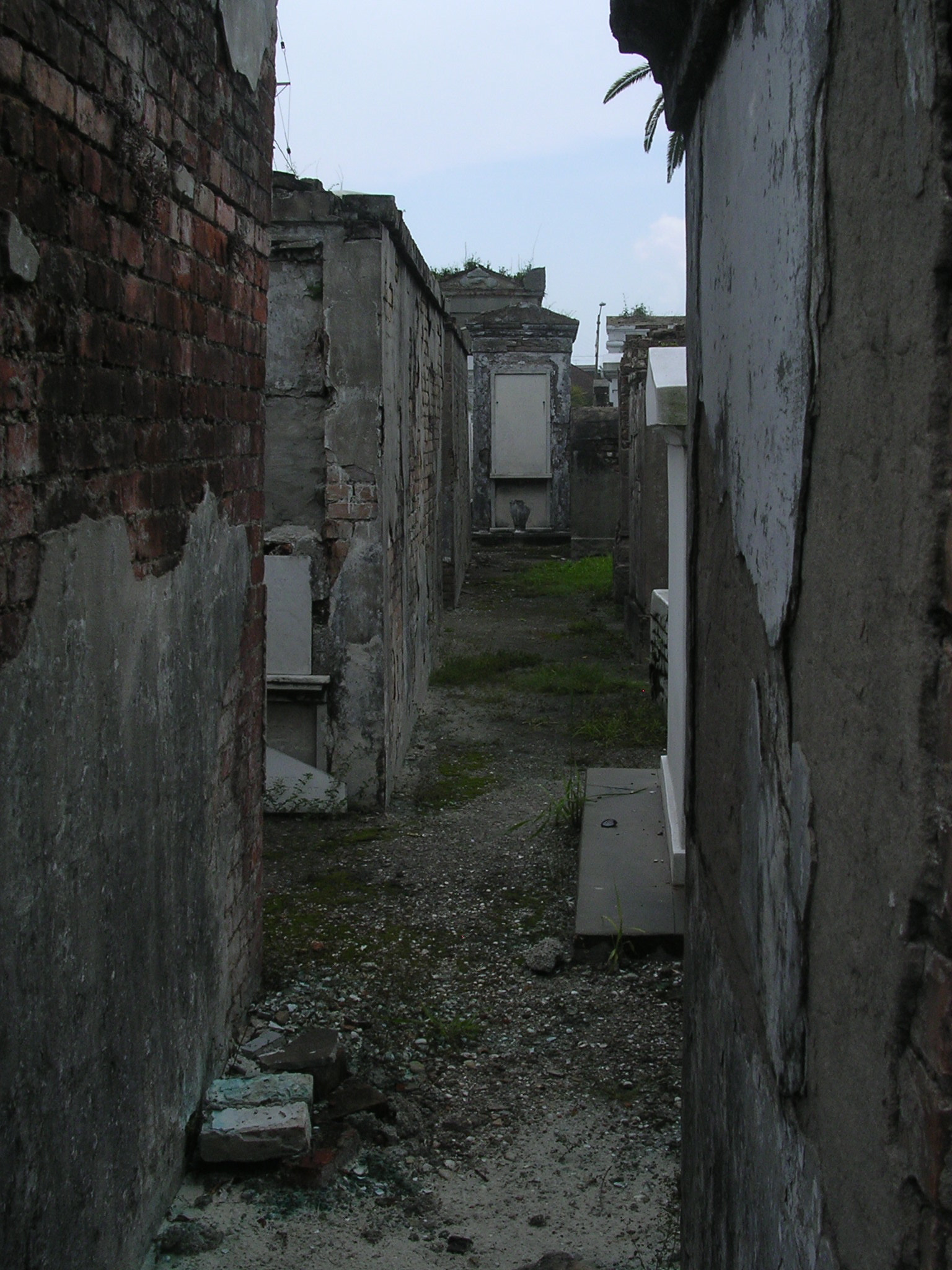 Nikon E3100 sample photo. New orleans cemetery photography