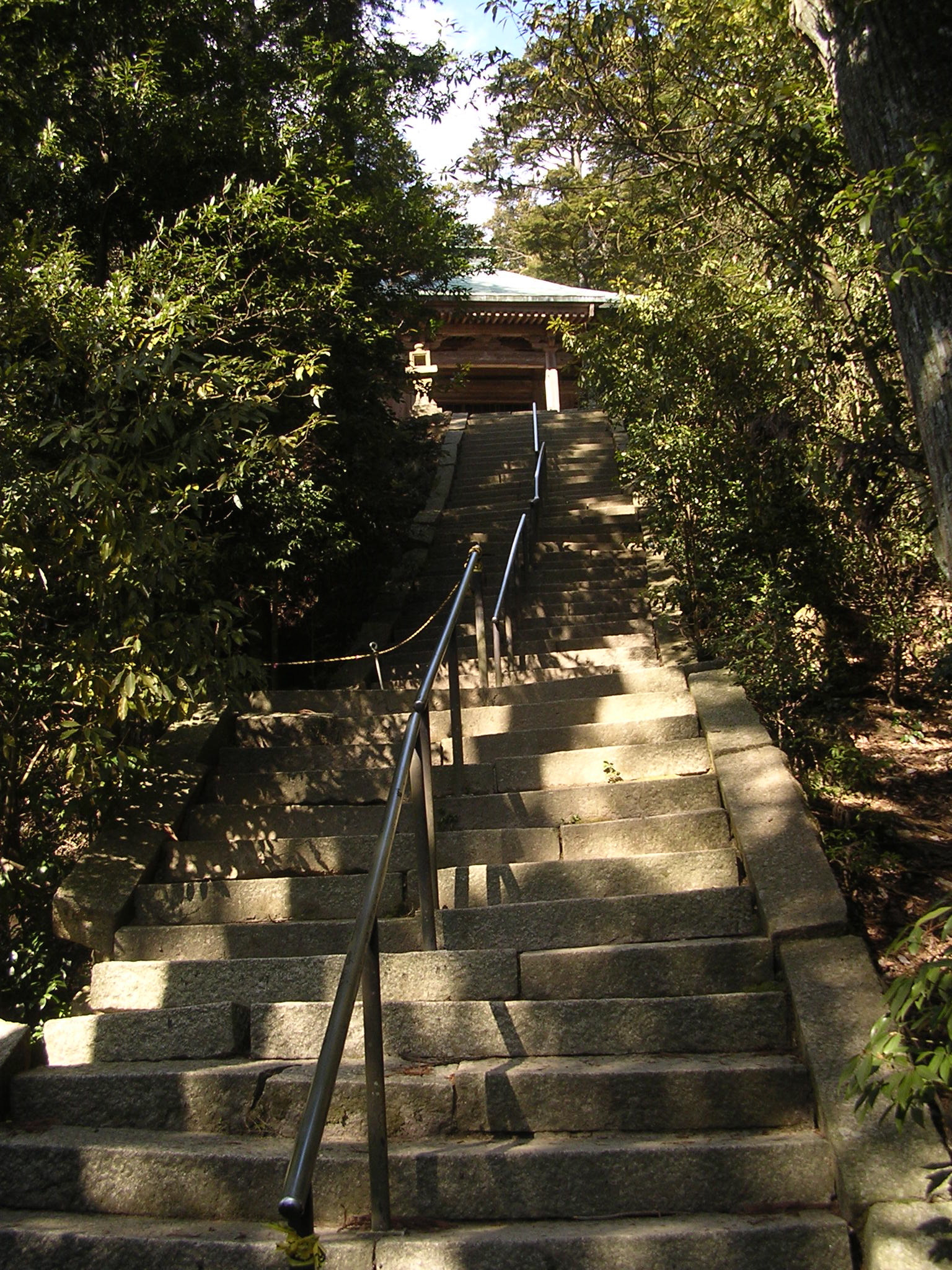 Nikon E3100 sample photo. Shrine in the forest photography