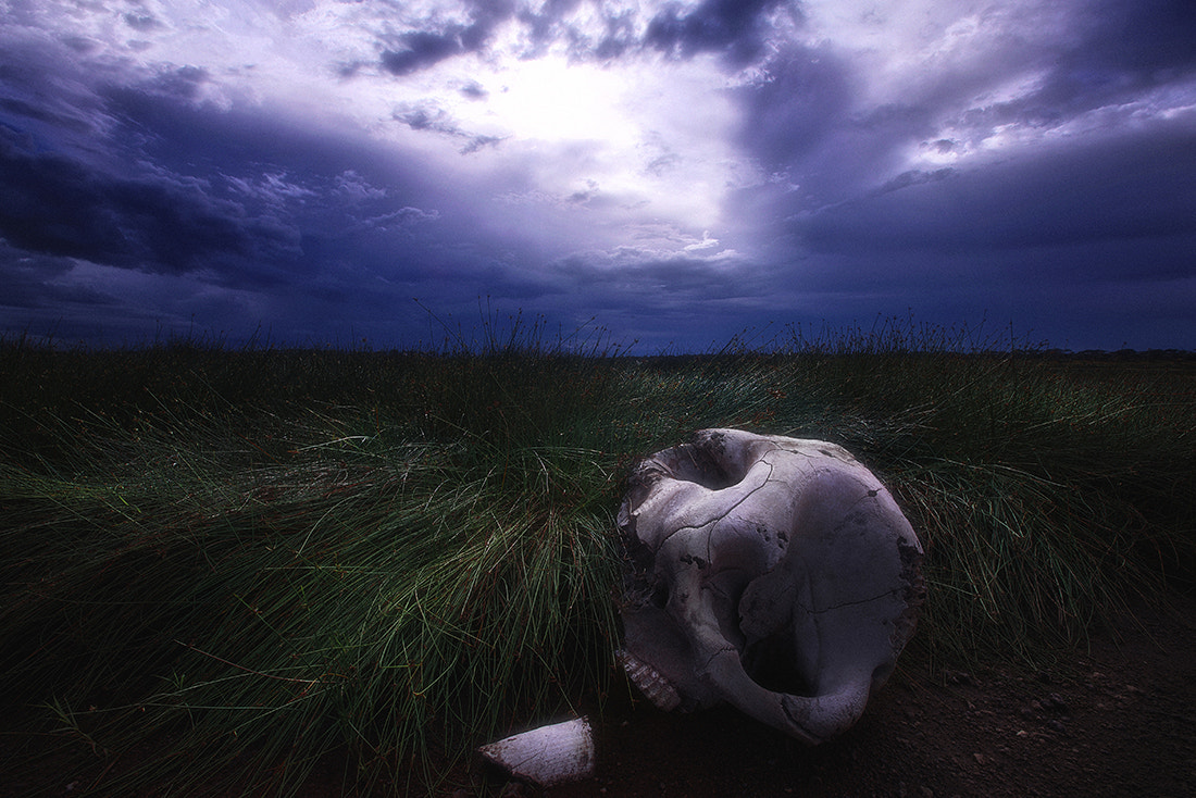 16.0 - 35.0 mm sample photo. Renewal photography